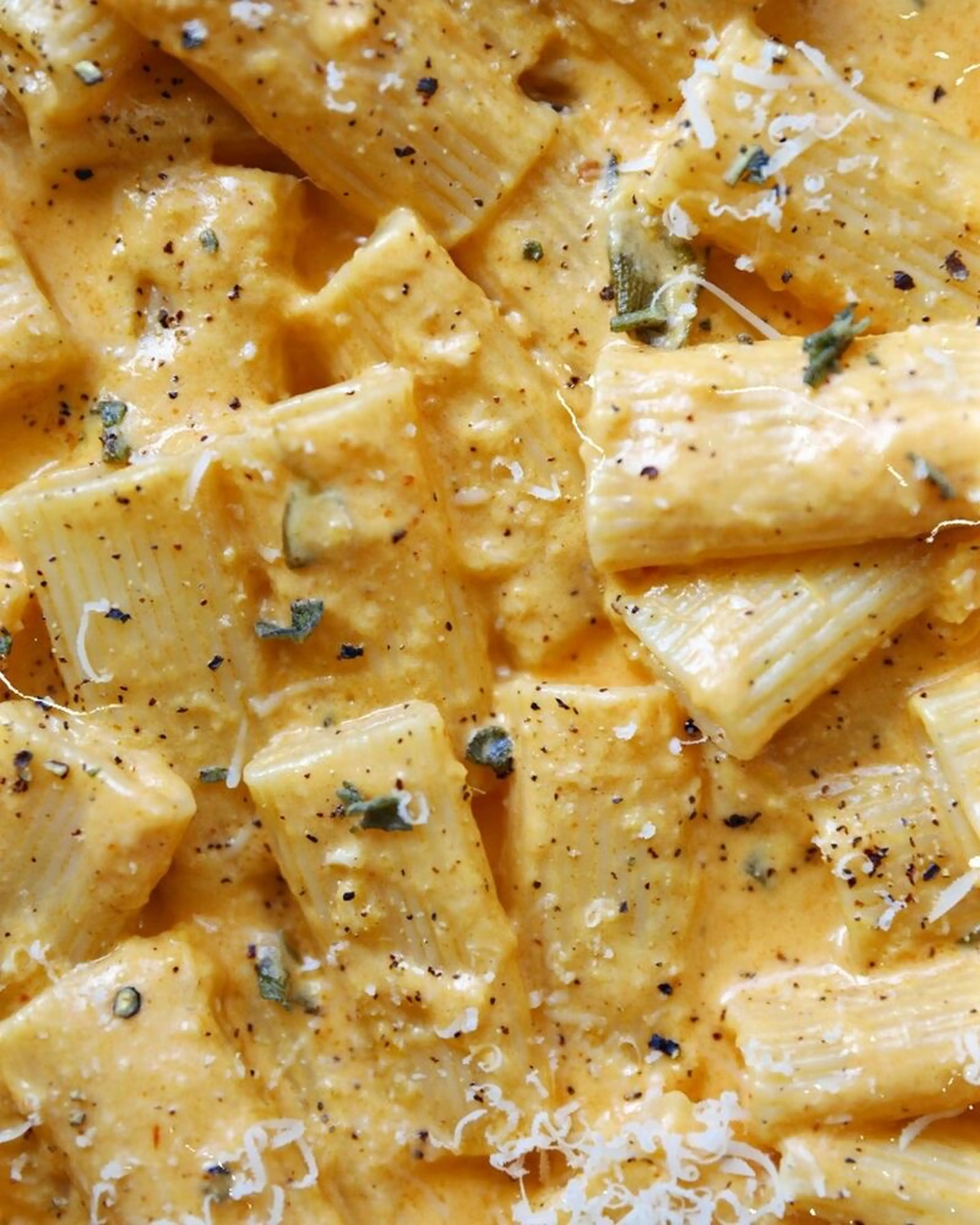 Butternut Squash Vodka Pasta