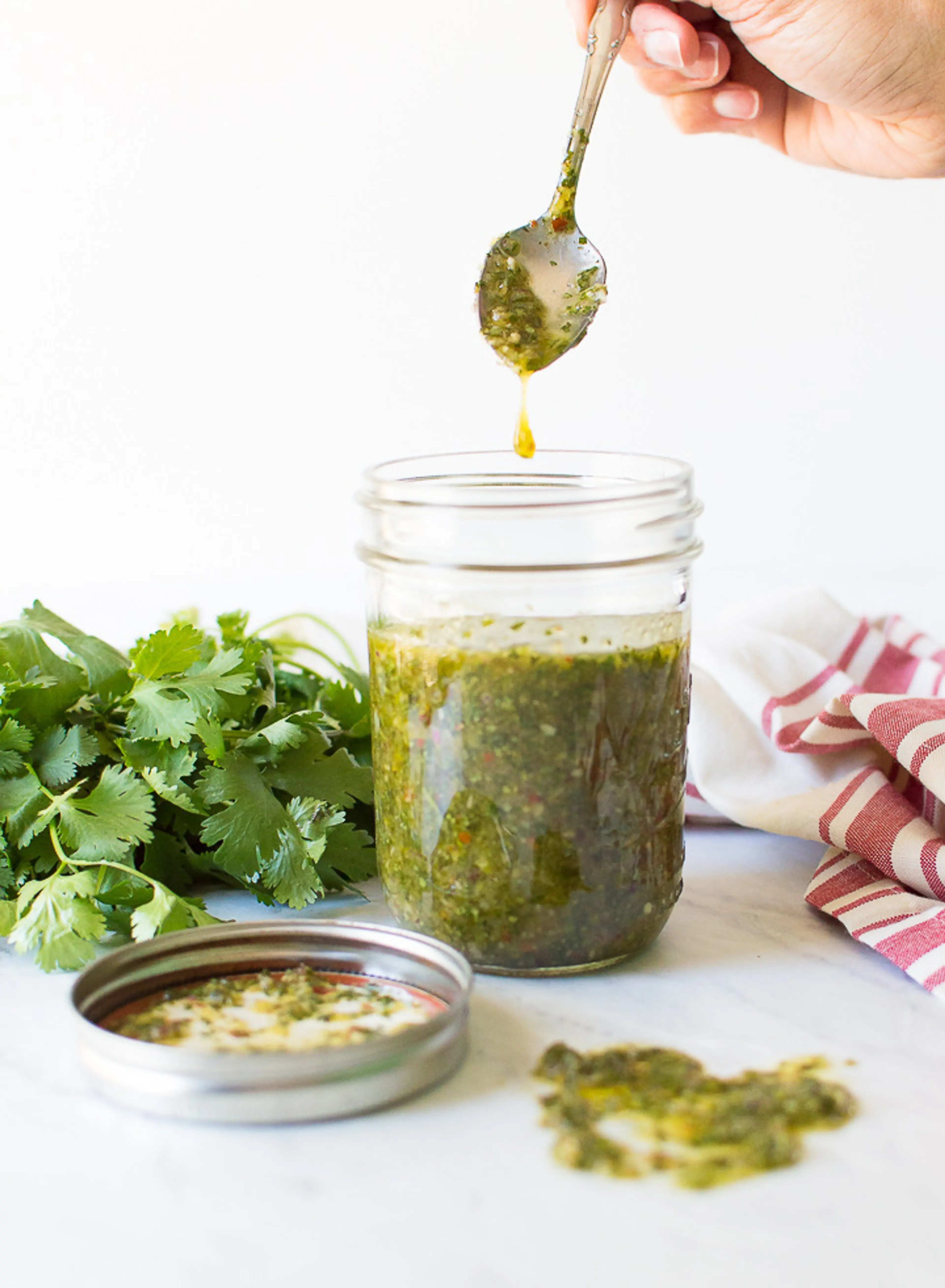 Cilantro Chimichurri Sauce Recipe