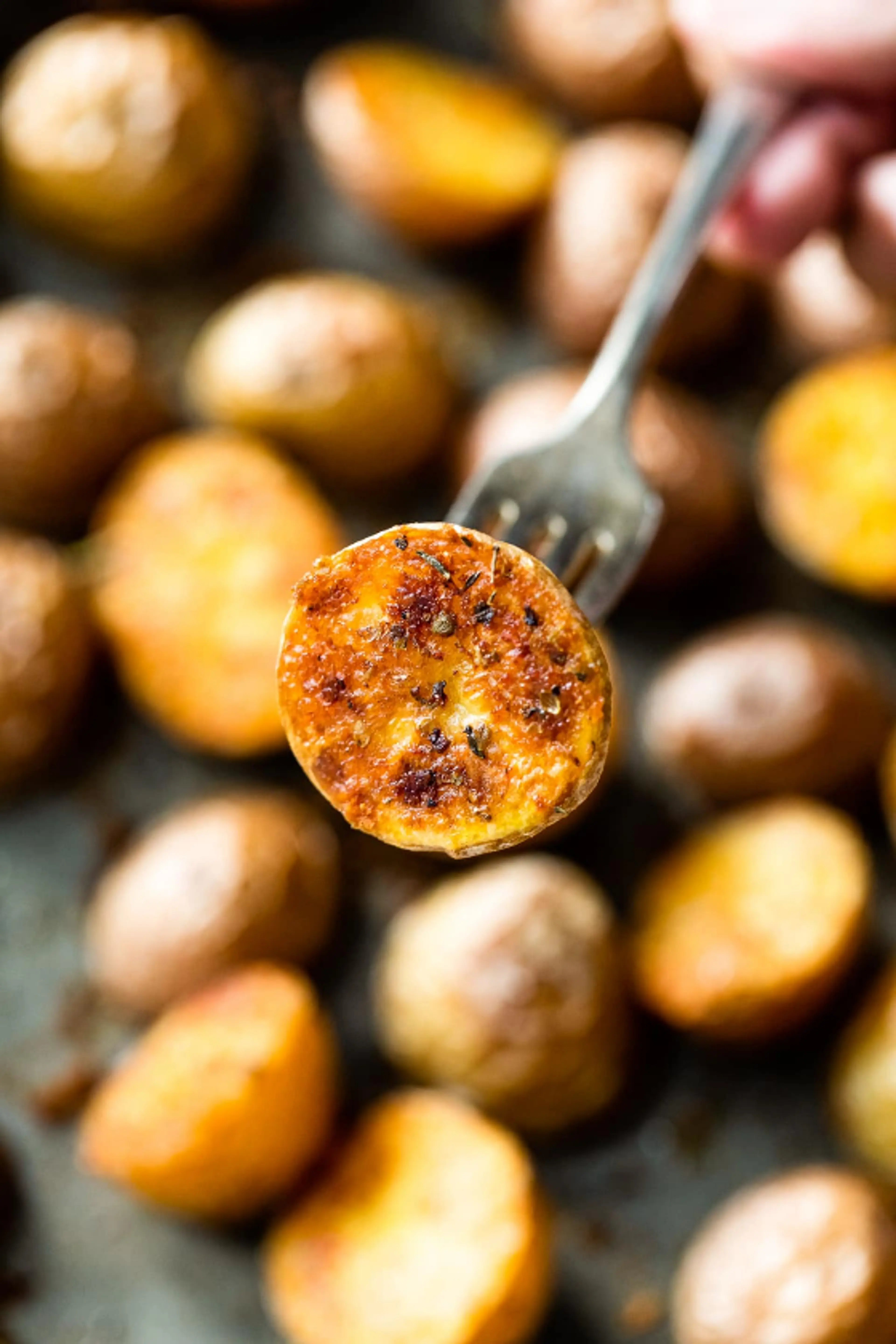 Roasted Baby Potato Recipe