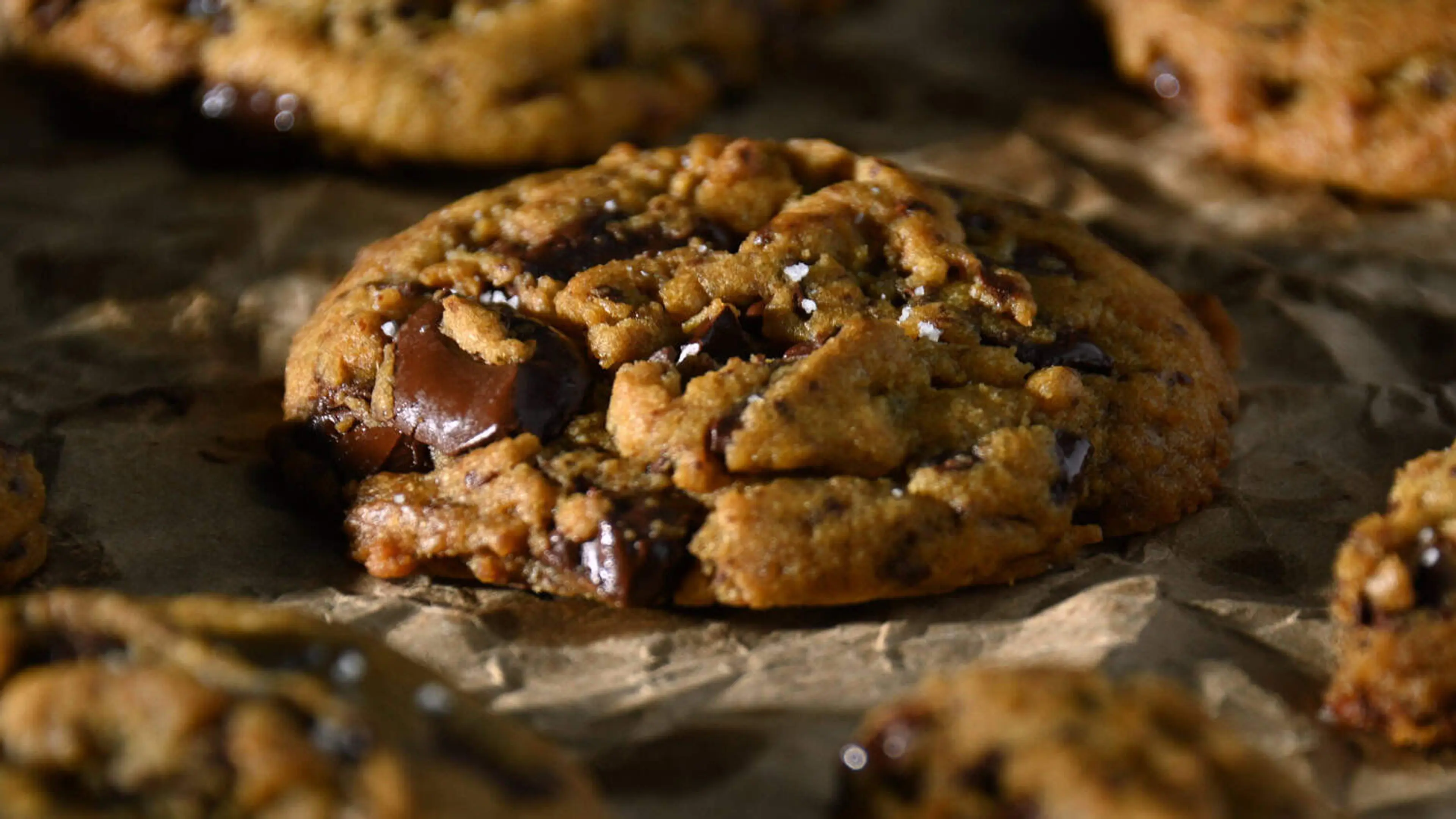 Chocolate Chip Cookies with Toasted Milk Powder