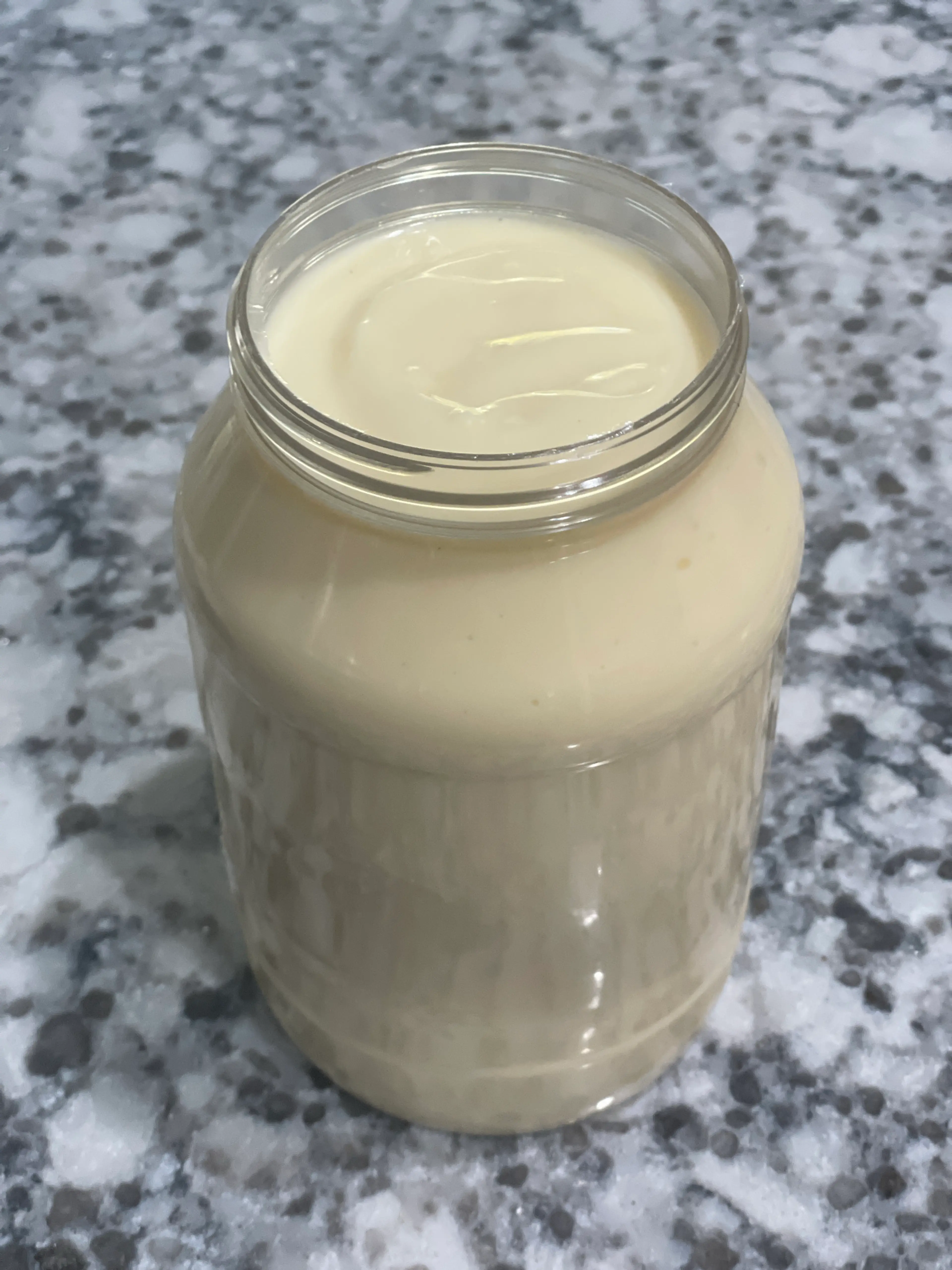 Home Made Mayonnaise