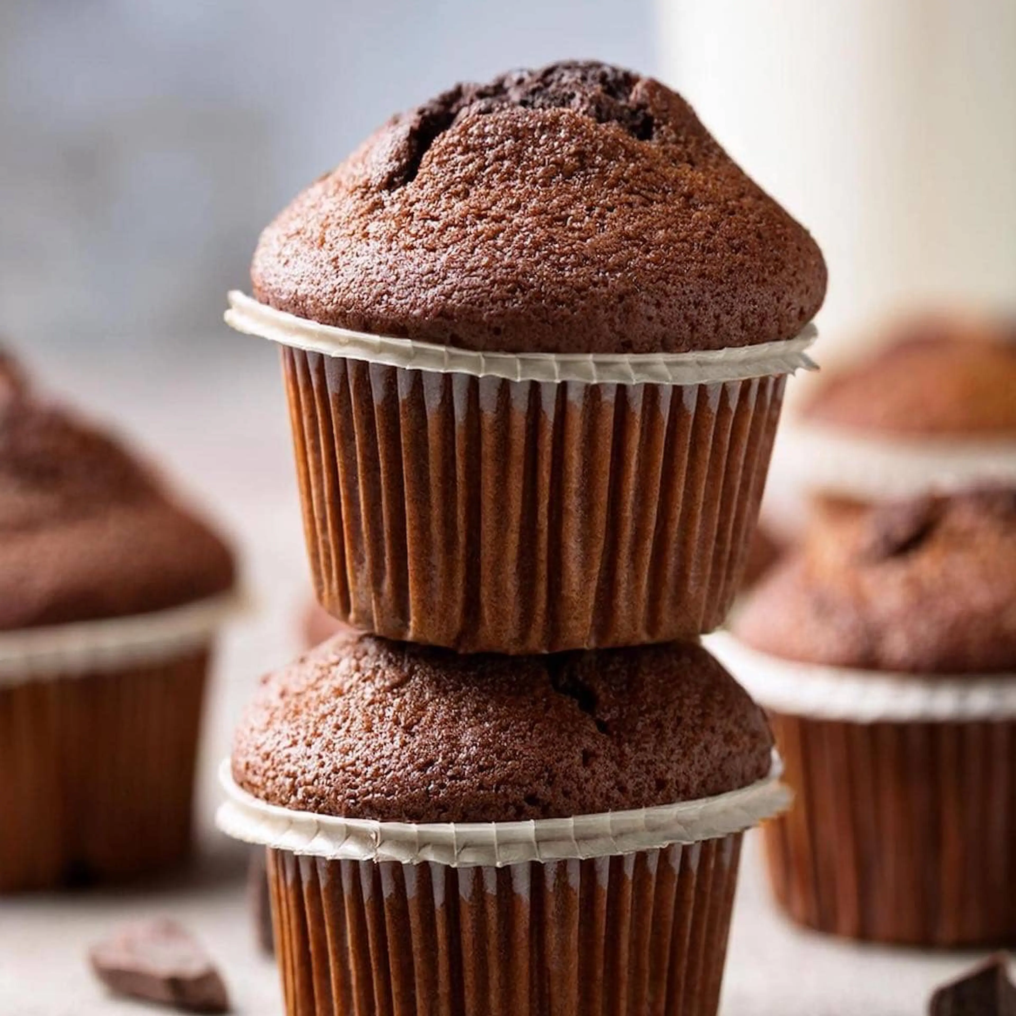 Flourless Muffins