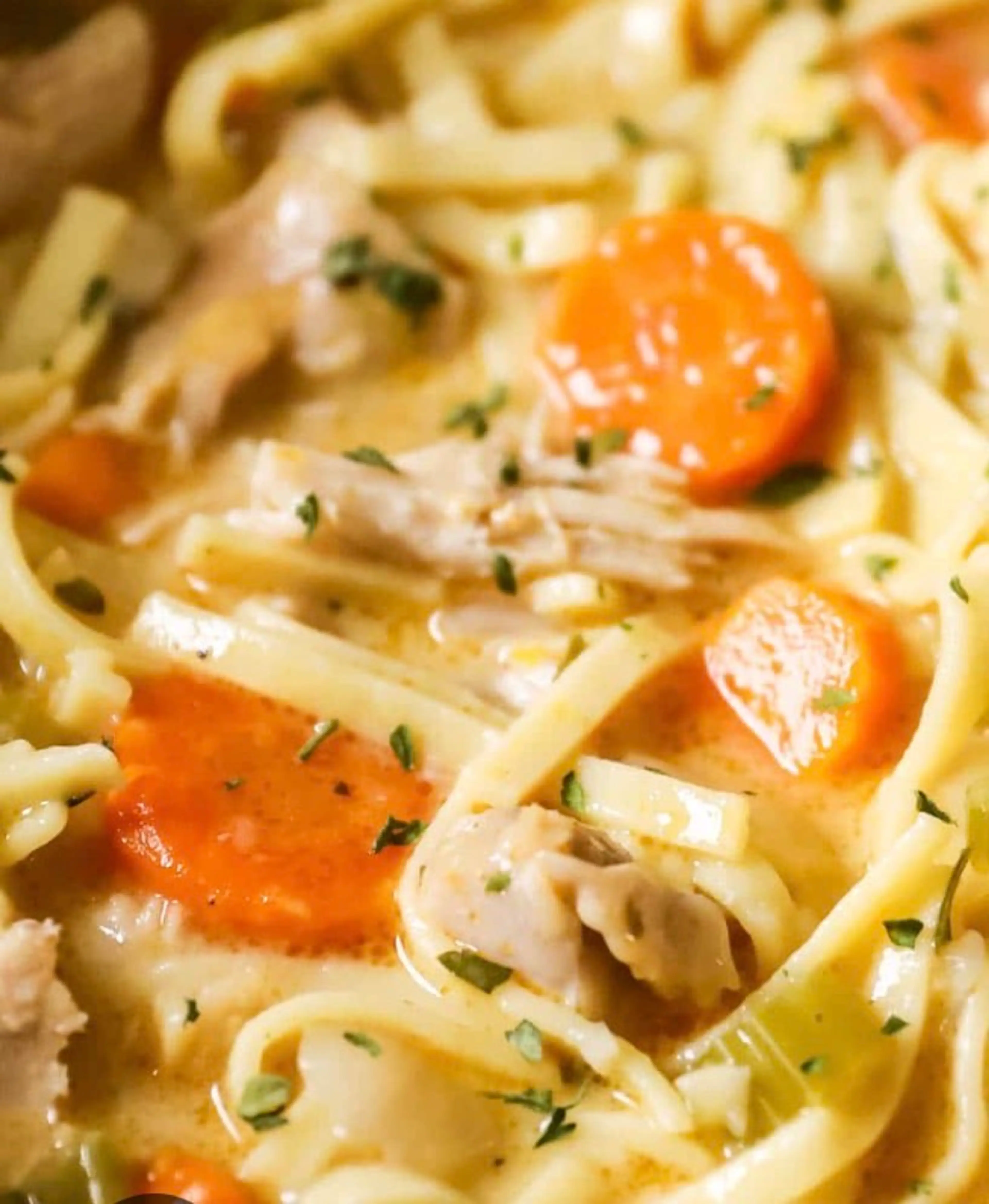 Creamy Chicken Noodle Soup (AMAZING)