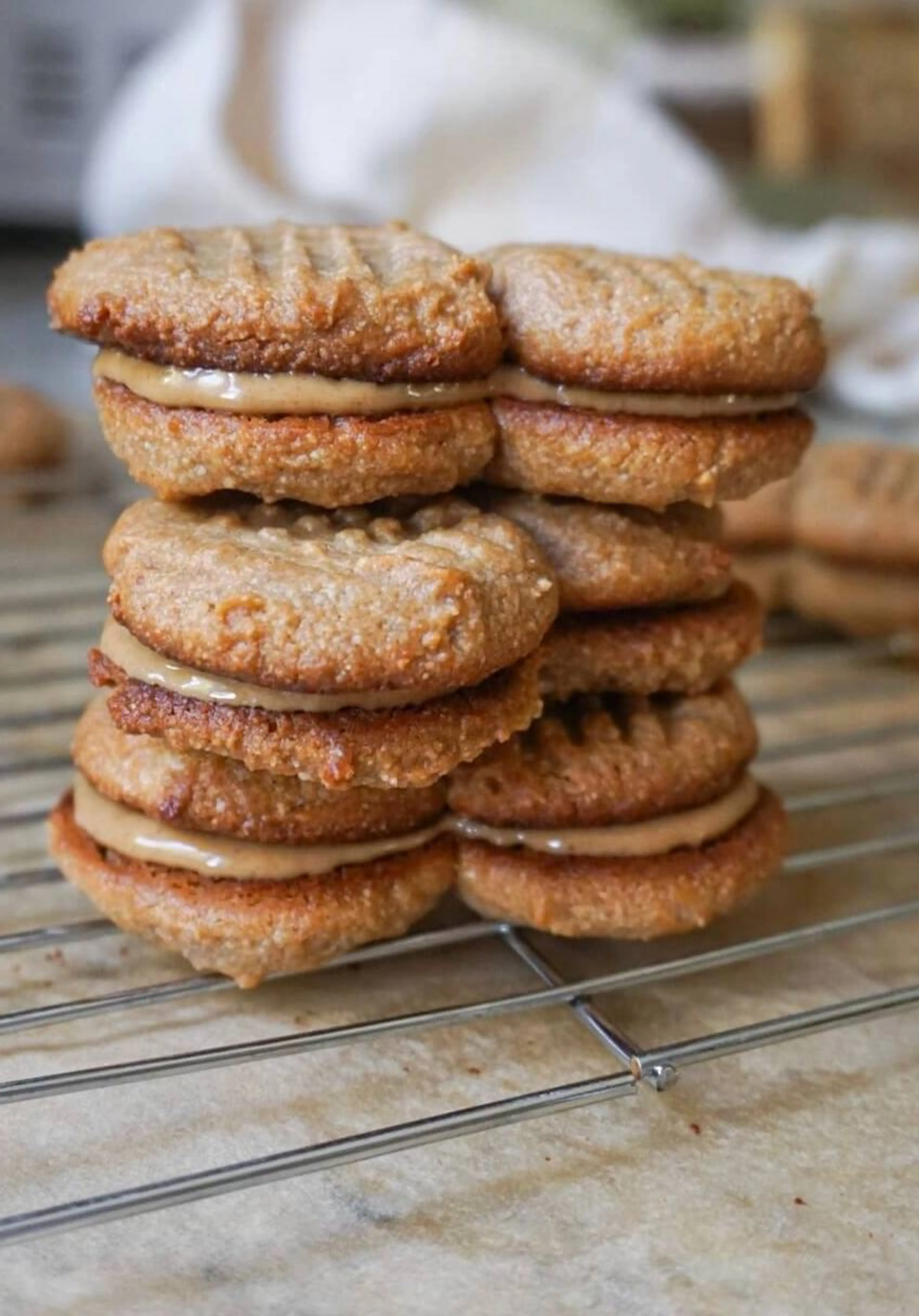 Homemade Nutter Butter Cookies