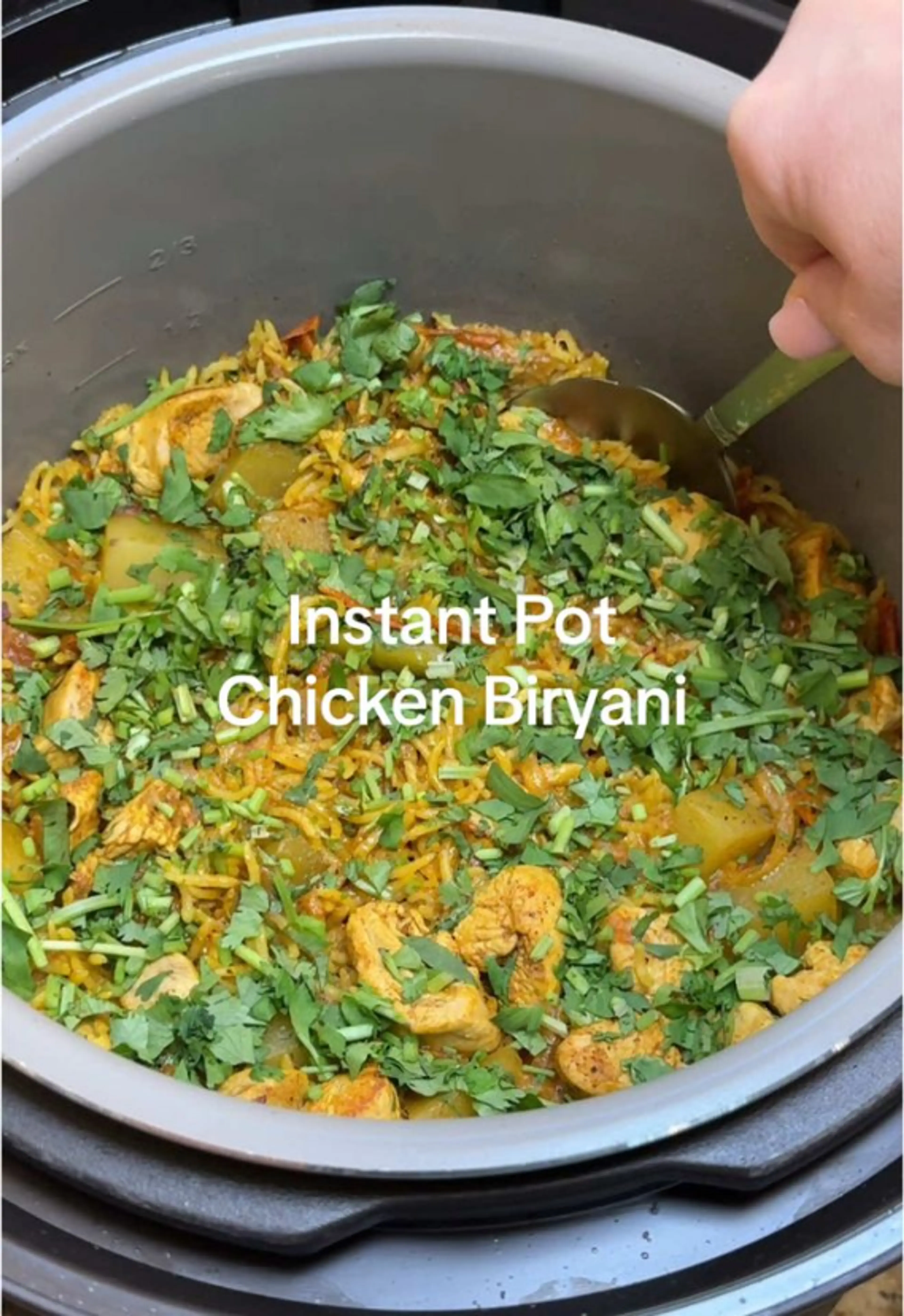 Instant Pot Chicken Biryani