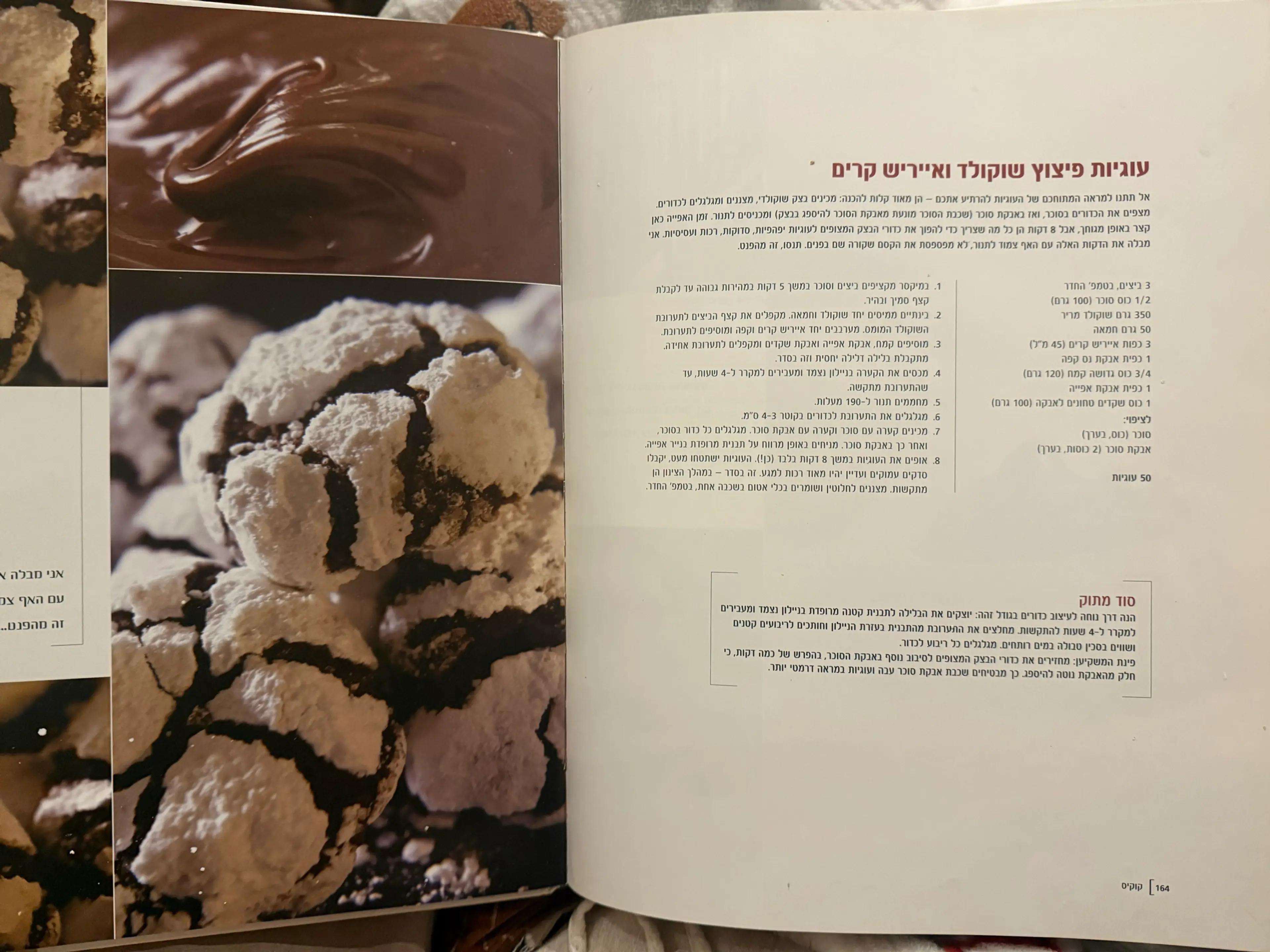 Baileys Crinkle Cookies