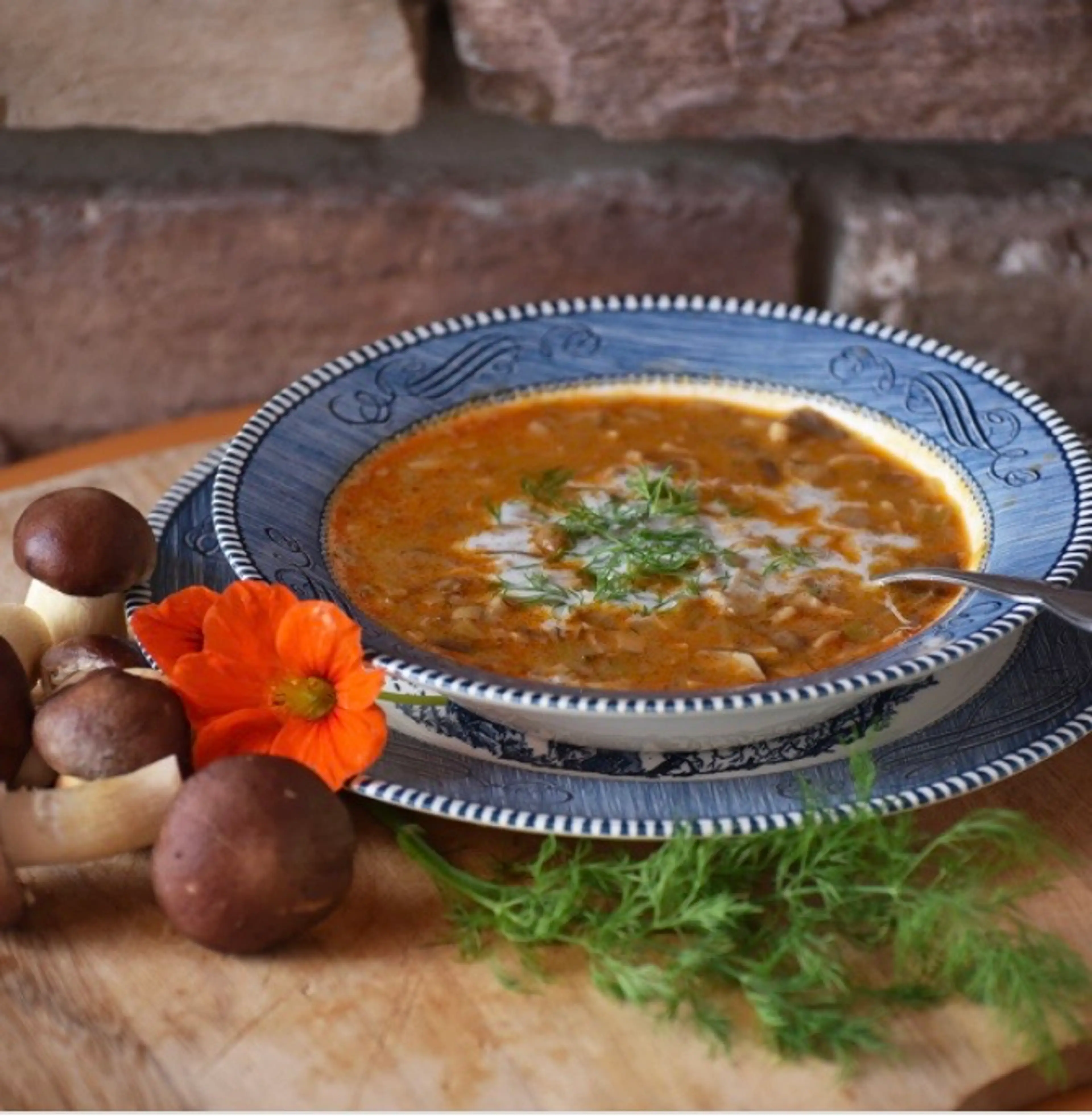 Hungarian Wine Cap Mushroom Soup