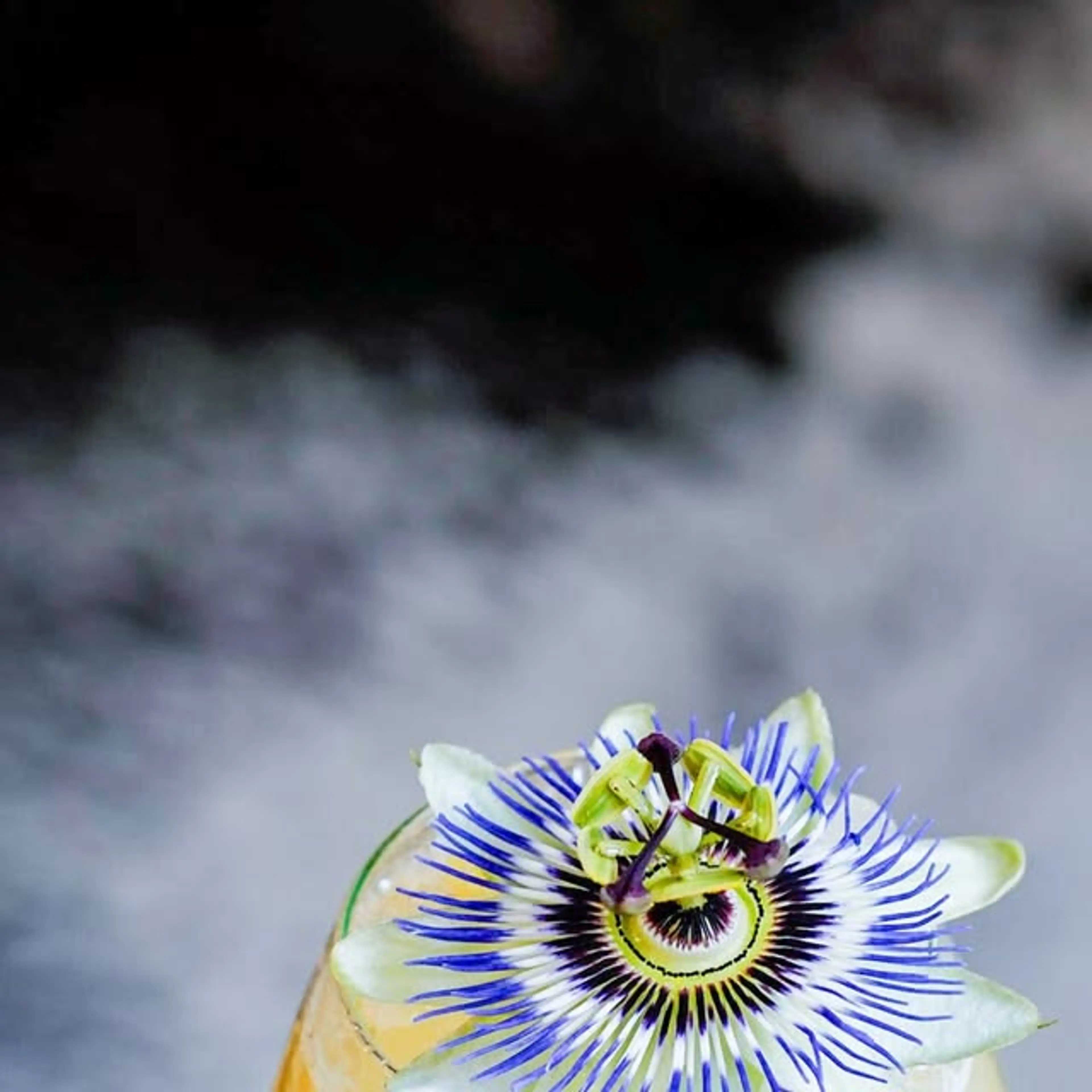 Passionfruit Rum Swizzle