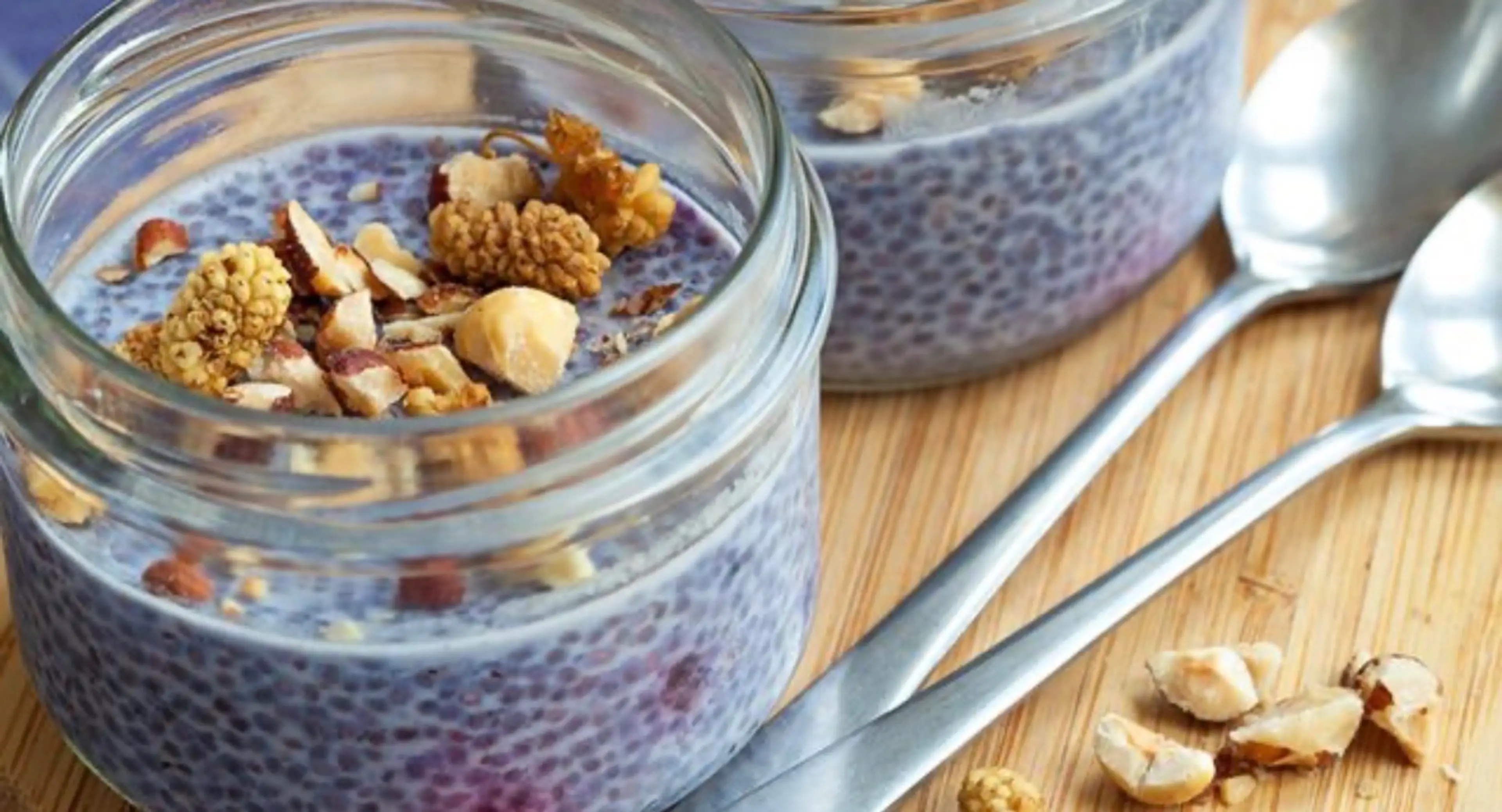 Blueberry Chia Seed Pudding