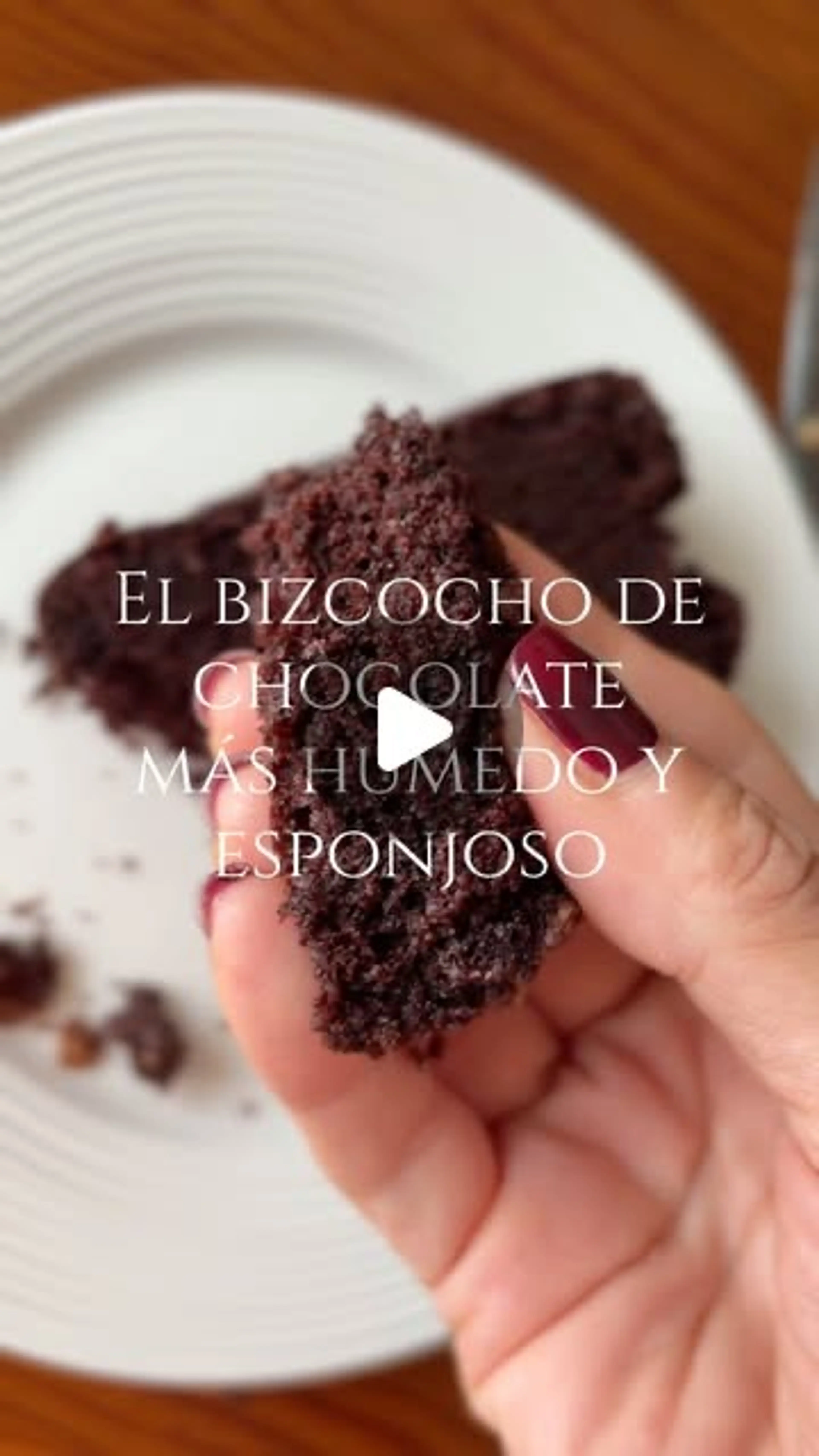 Bizcocho De Chocolate Intenso