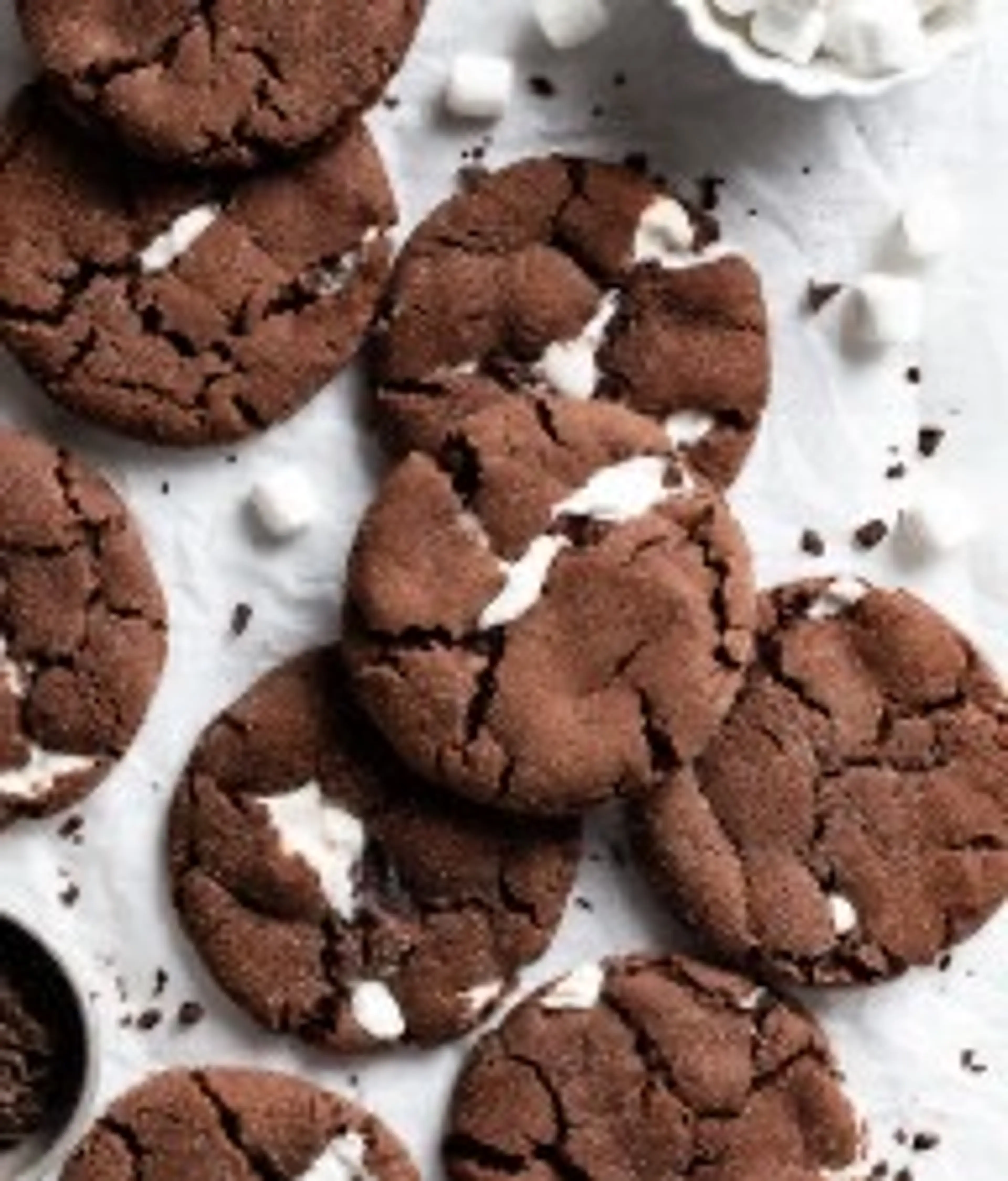 Hot Chocolate Cookies Recipe