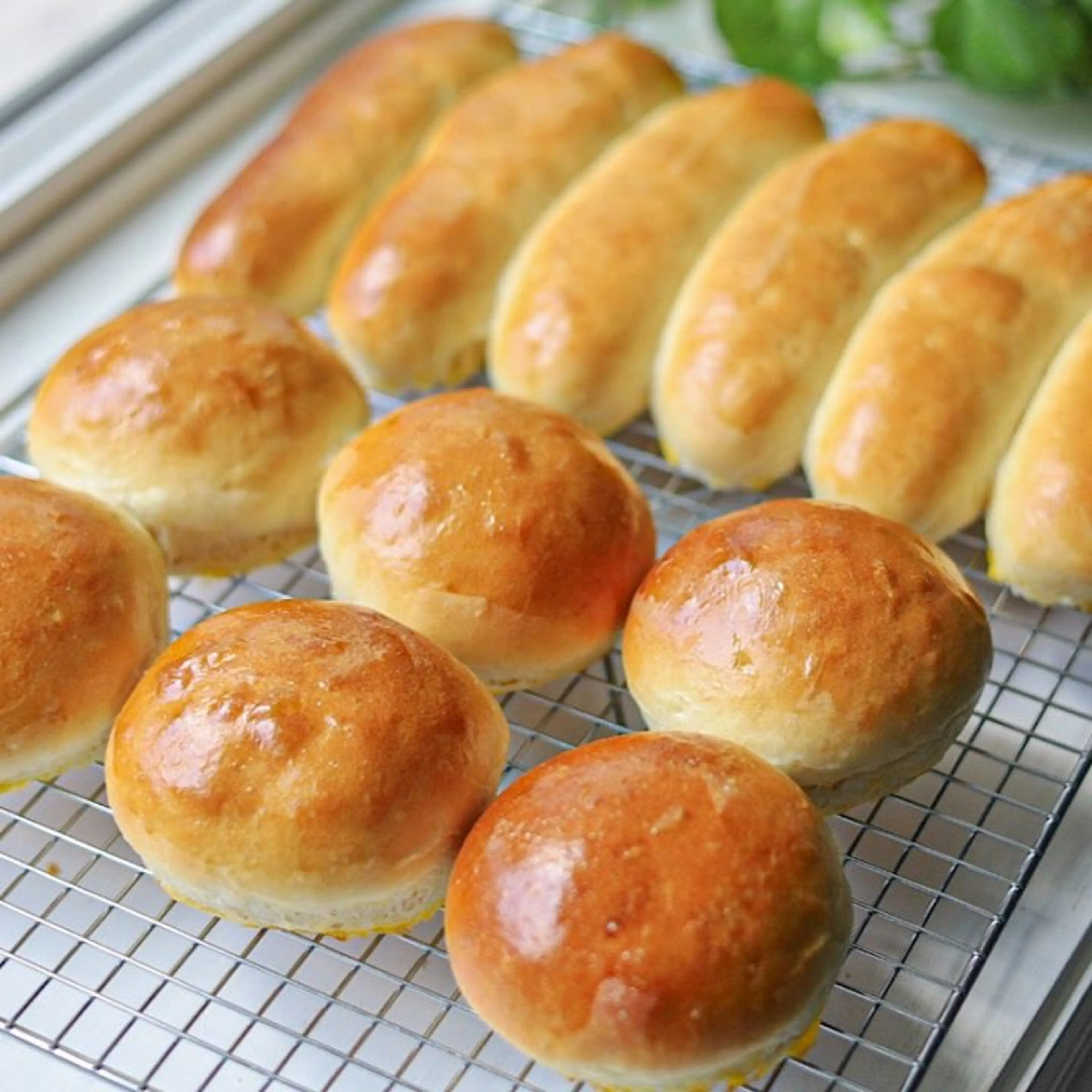 Quick Homemade Hot Dog and Hamburger Buns