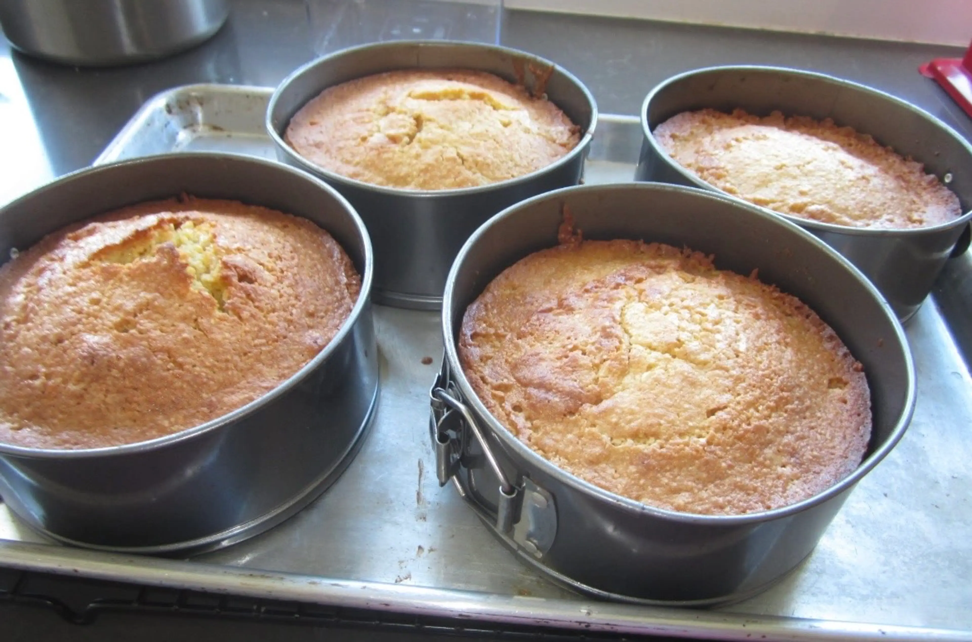 Clementine Cake