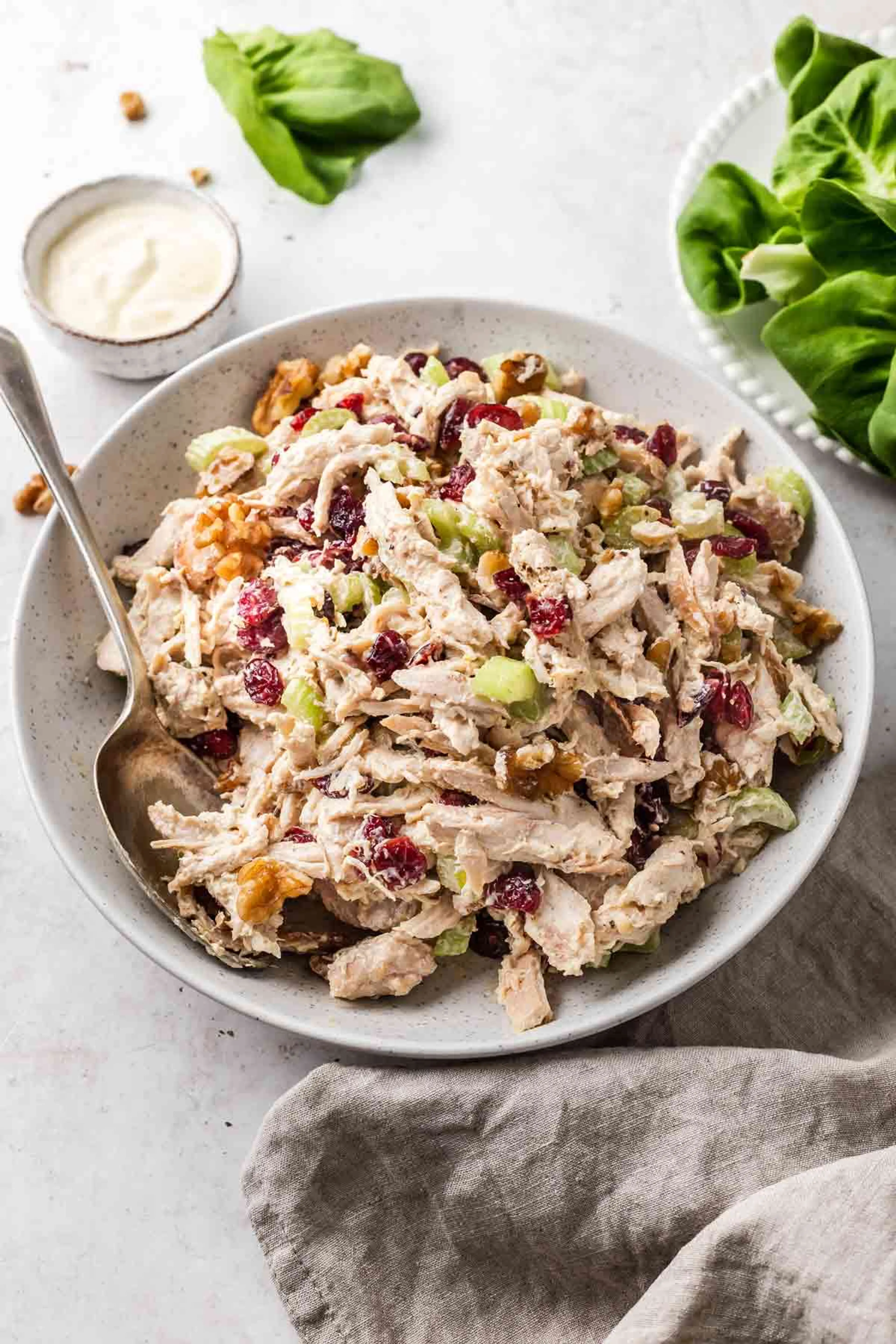 Rotisserie Chicken Salad with Cranberries