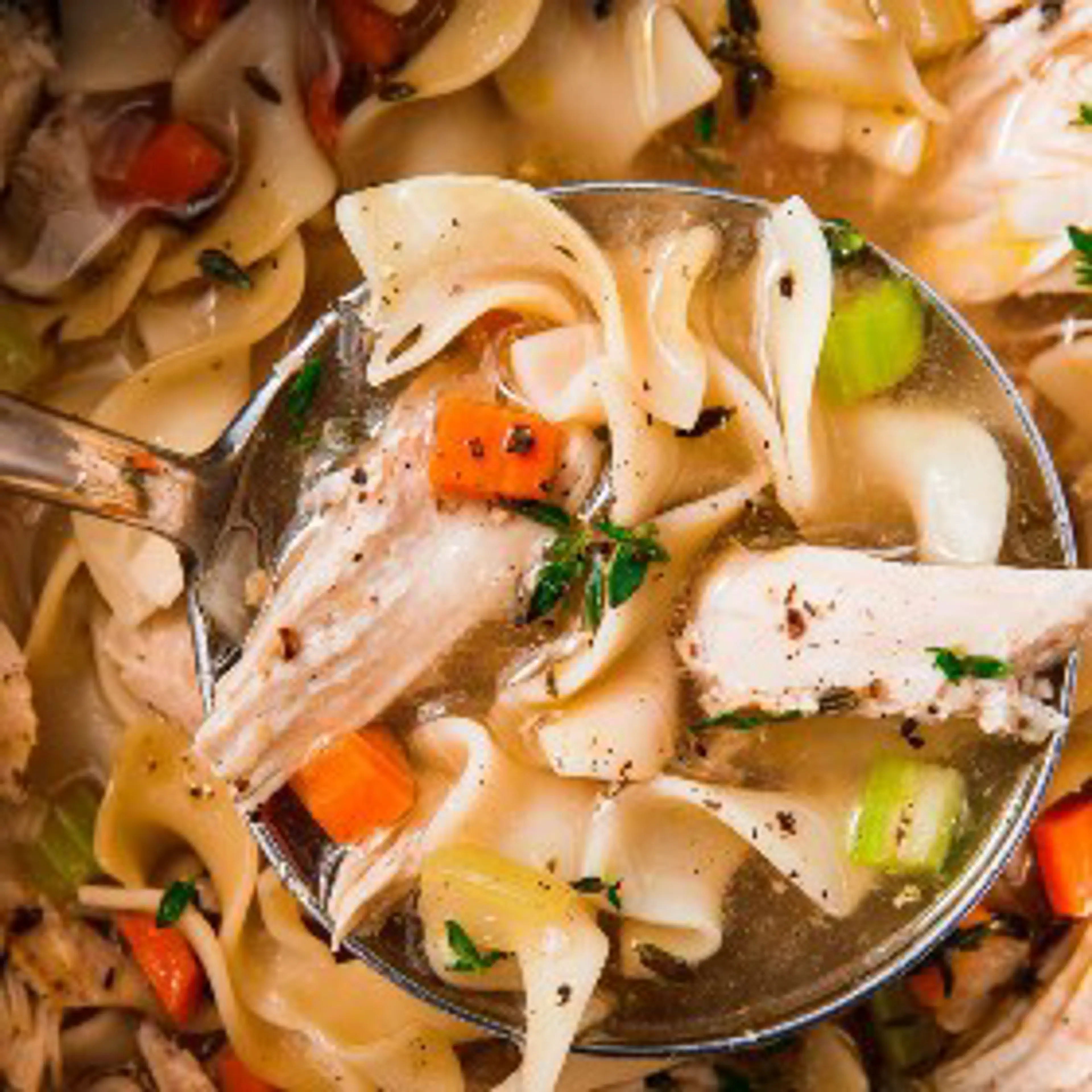 Instant Pot Chicken Noodle Soup