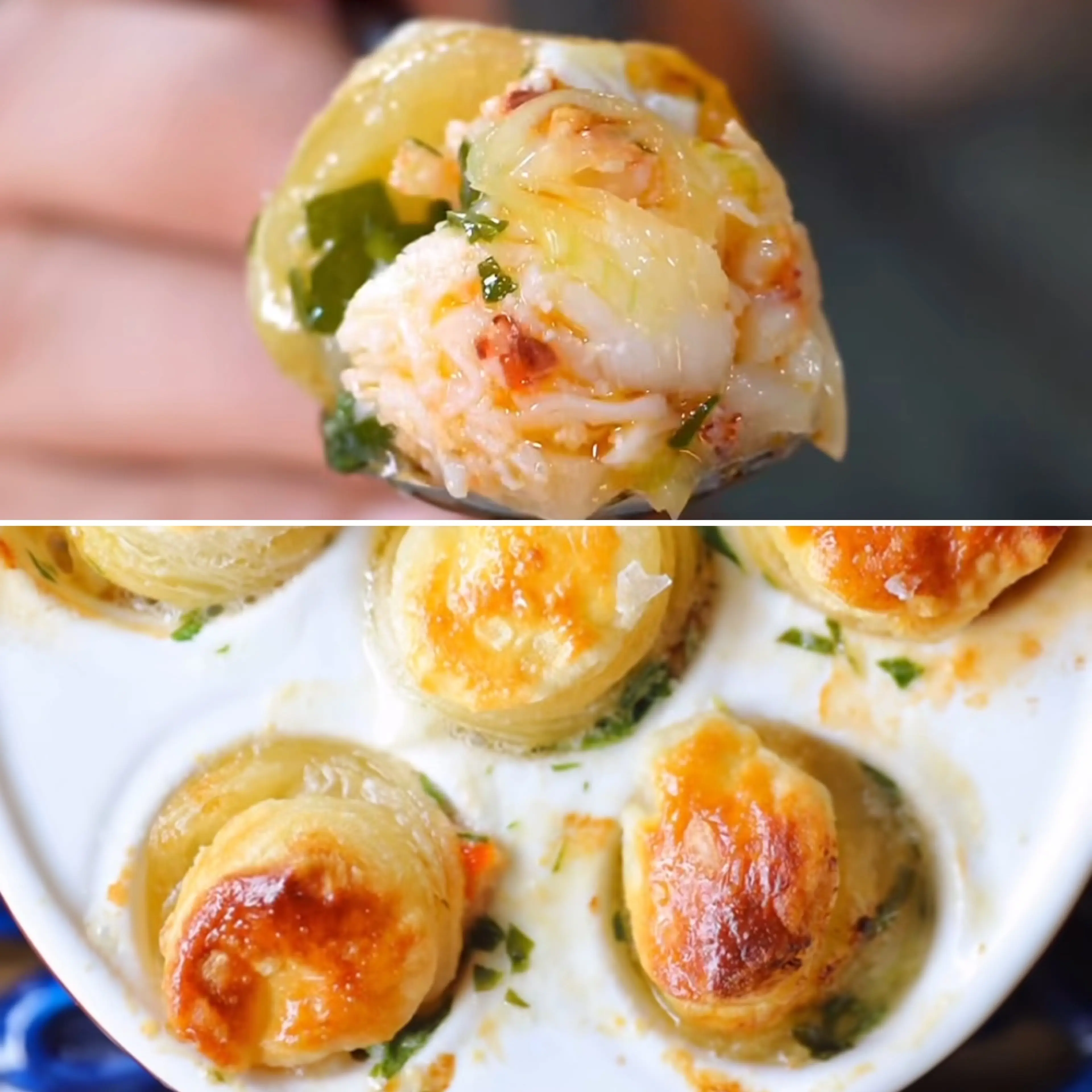 Lobster Escargot
