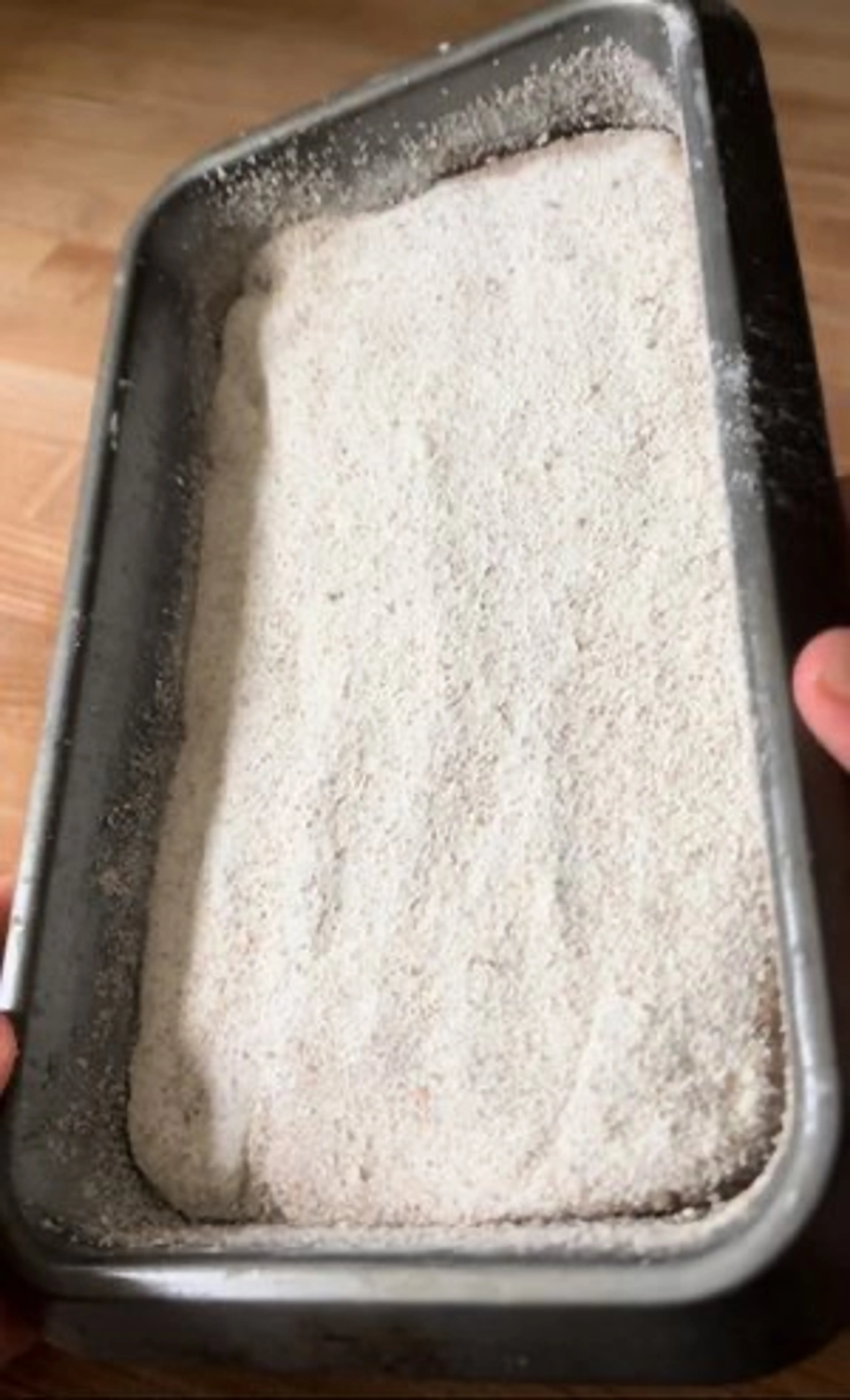 German Rye-Spelt Bread