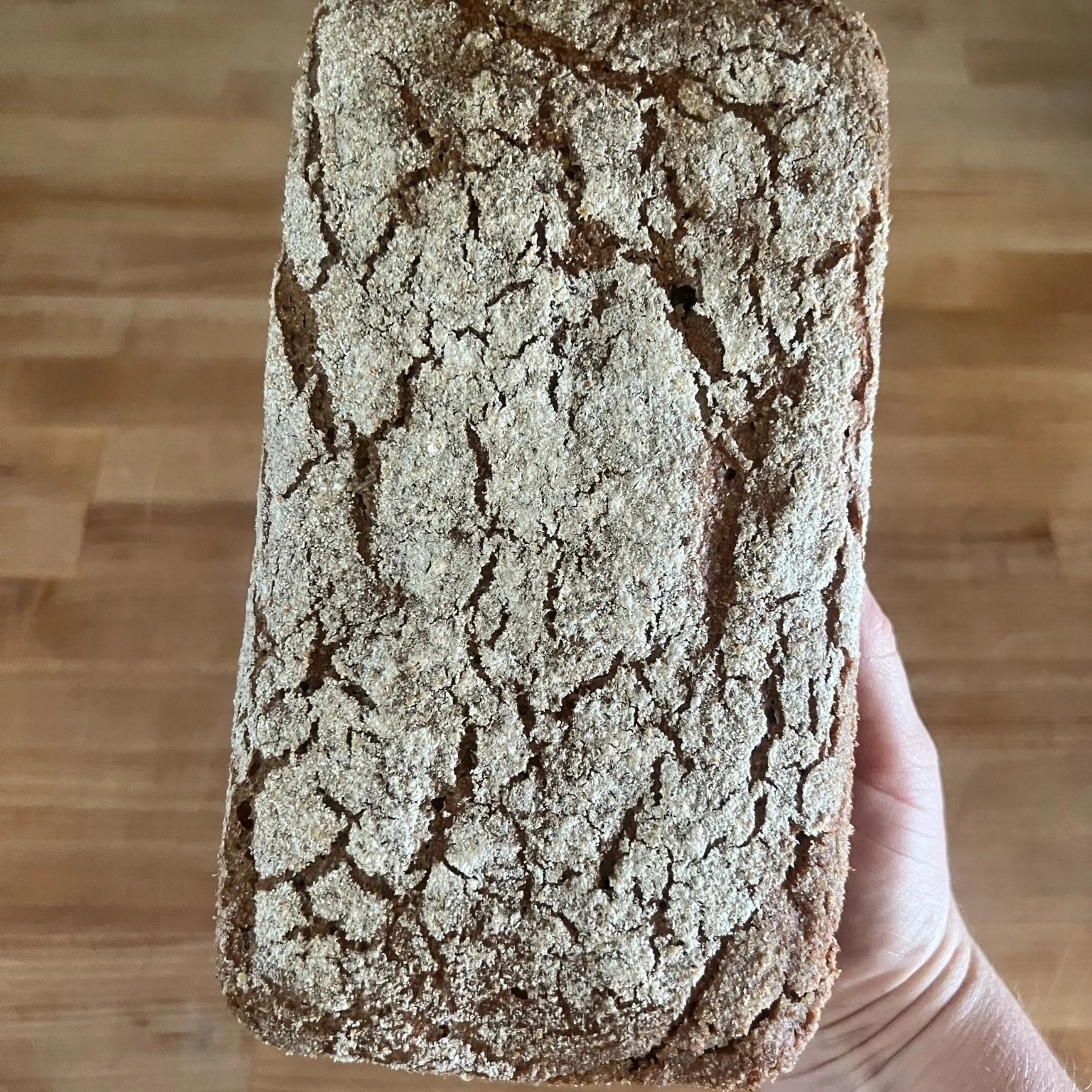 German Rye-Spelt Bread