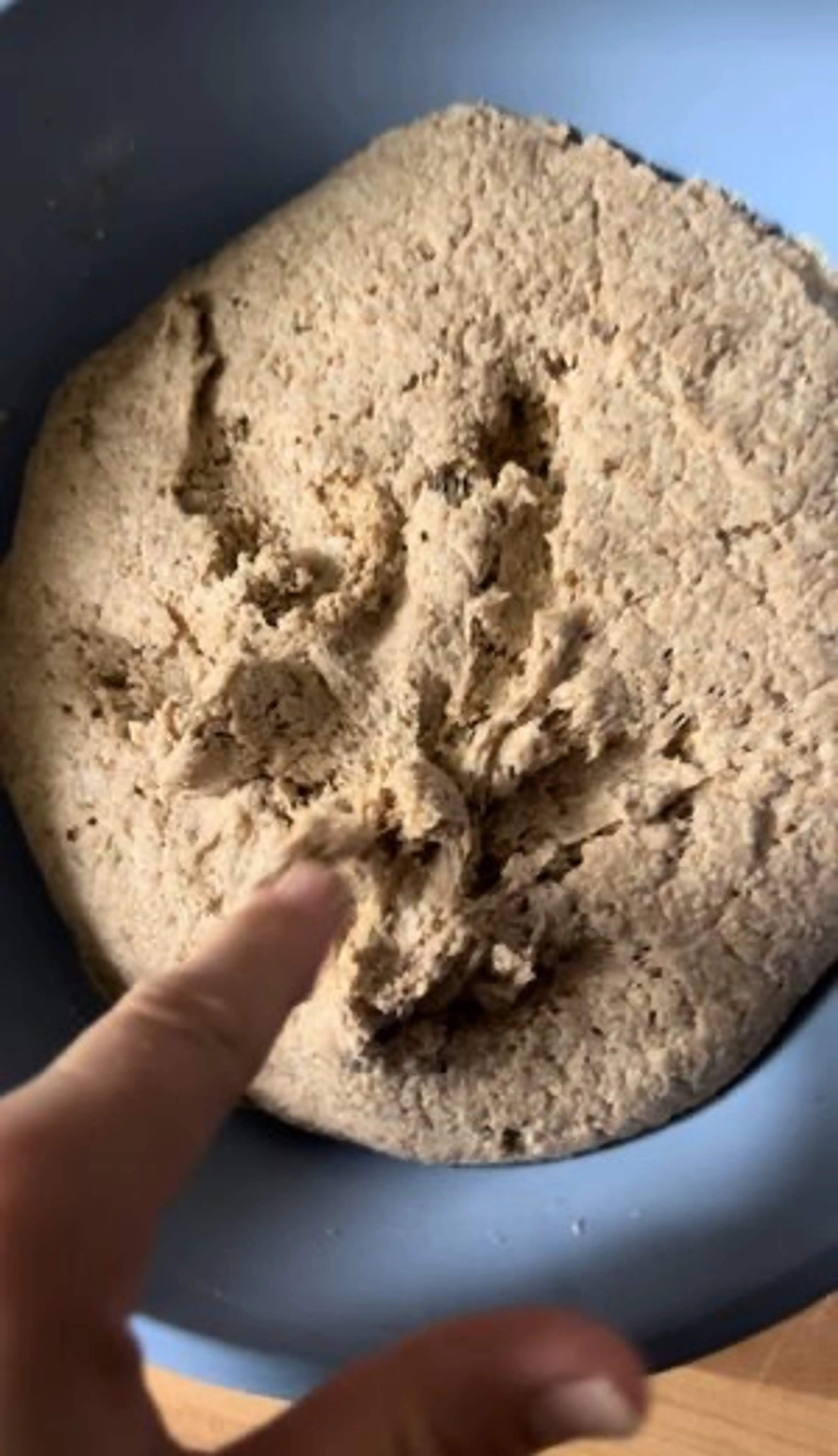 German Rye-Spelt Bread