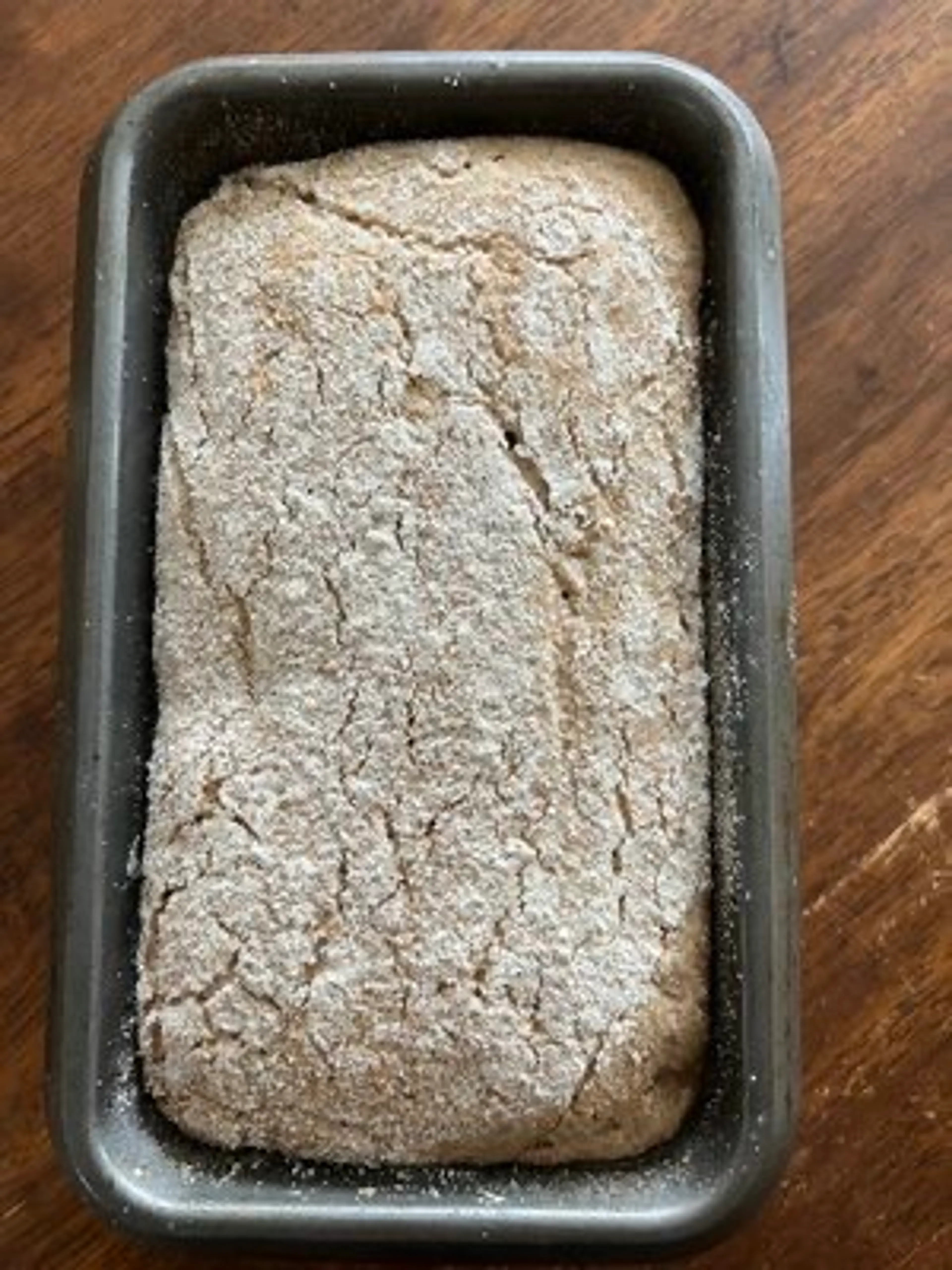 German Rye-Spelt Bread