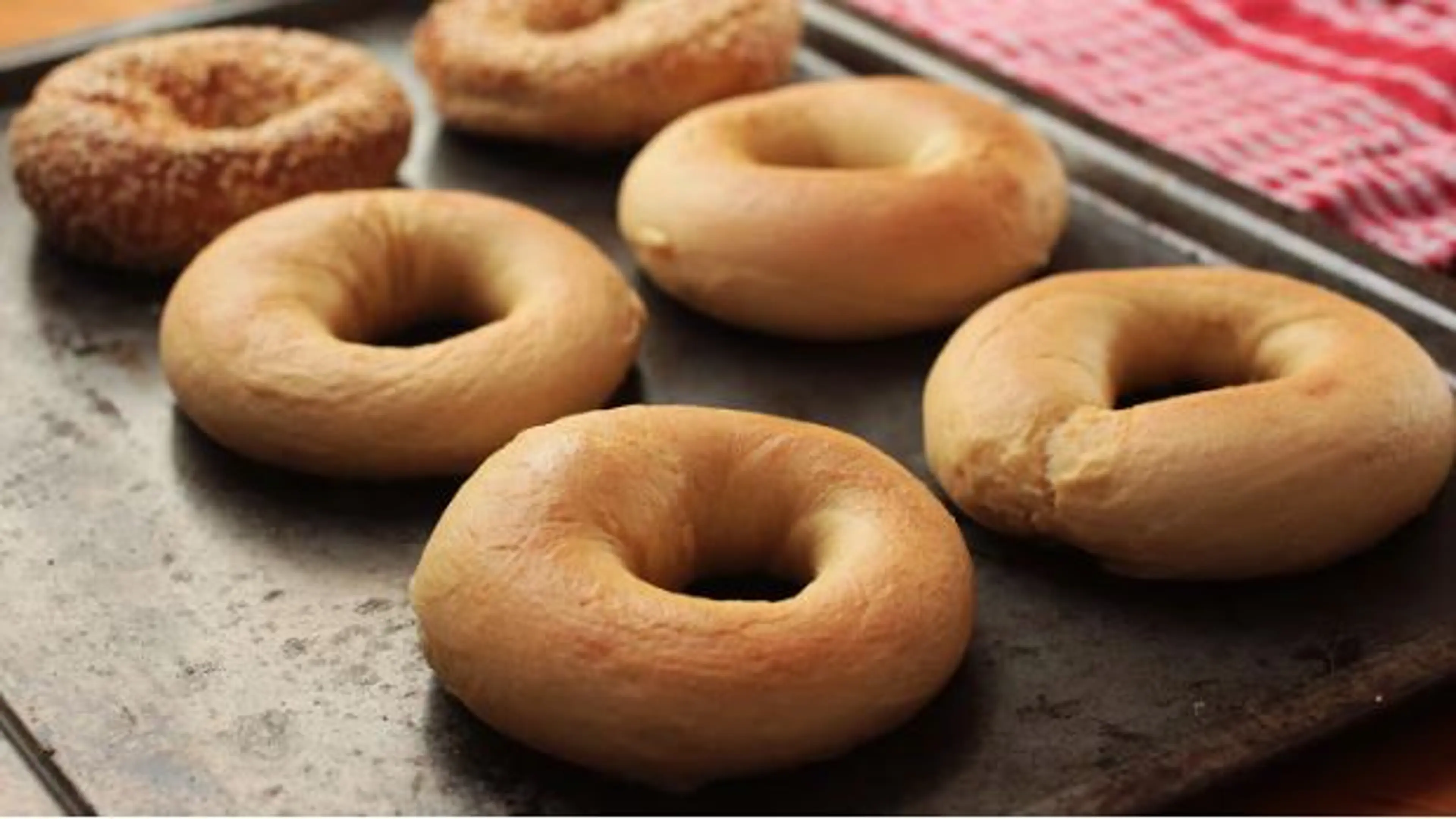 NY bagels from scratch