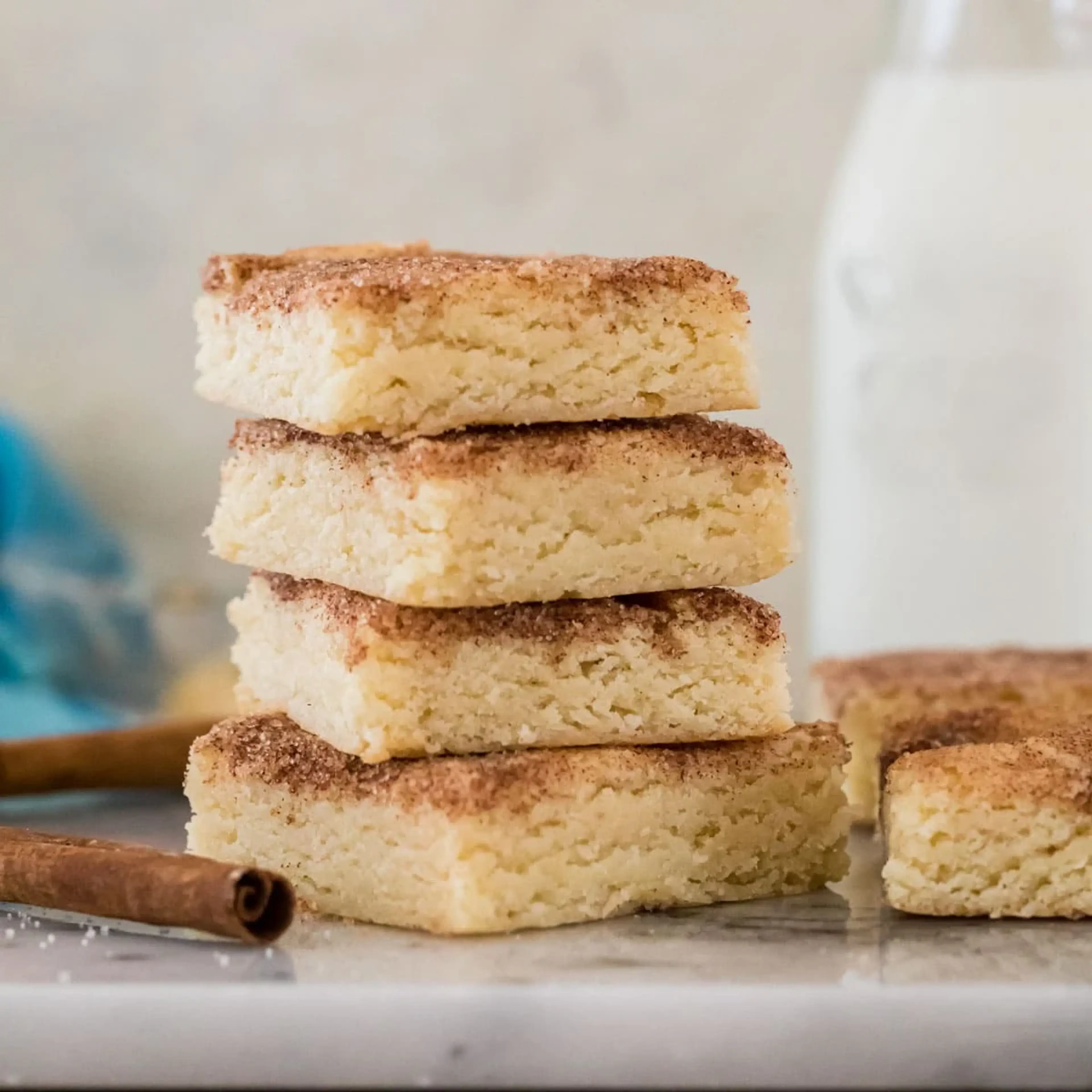 Snickerdoodle Blondies (Samantha Merritt)