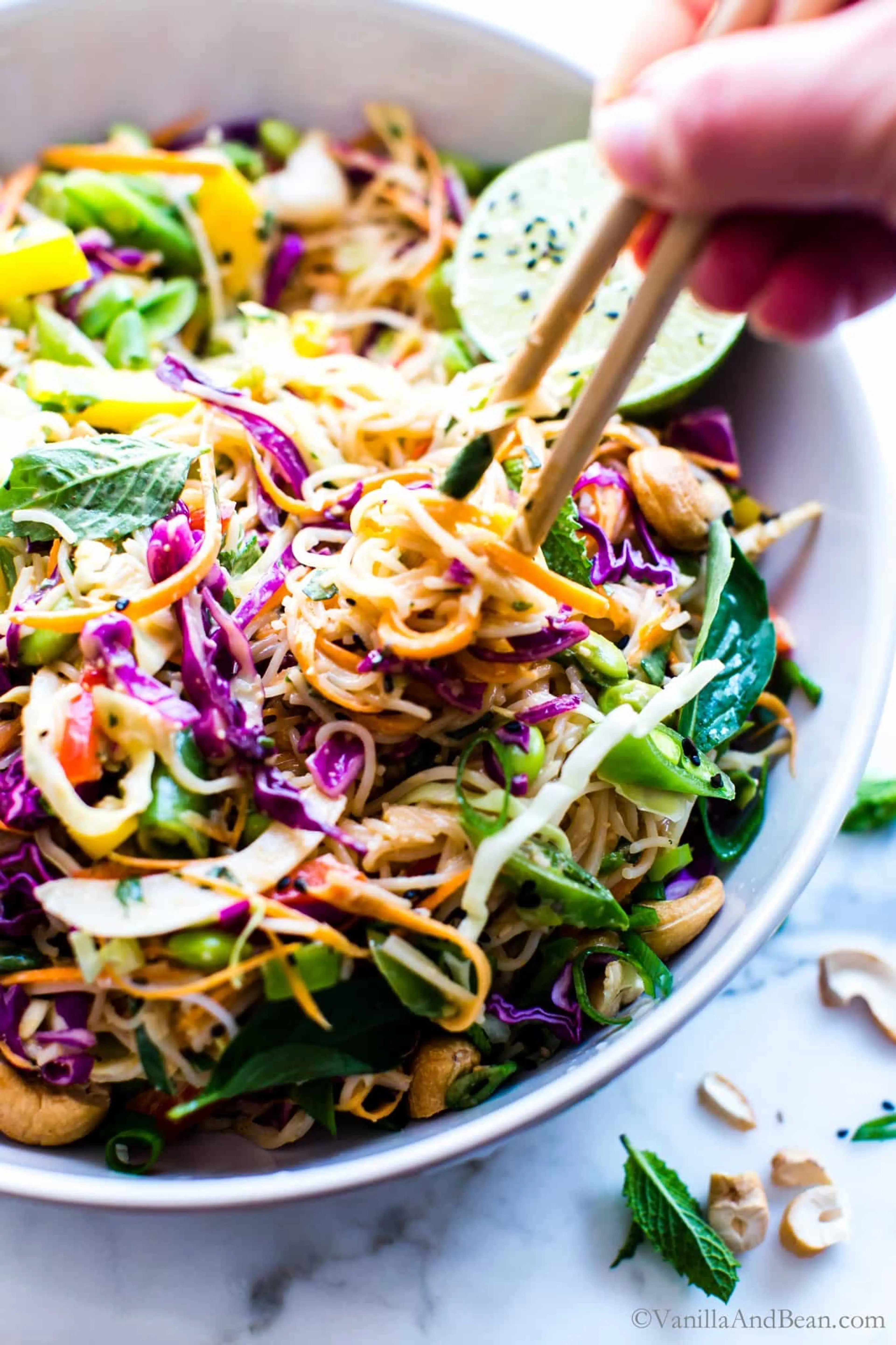 Thai Peanut Noodle Salad Recipe