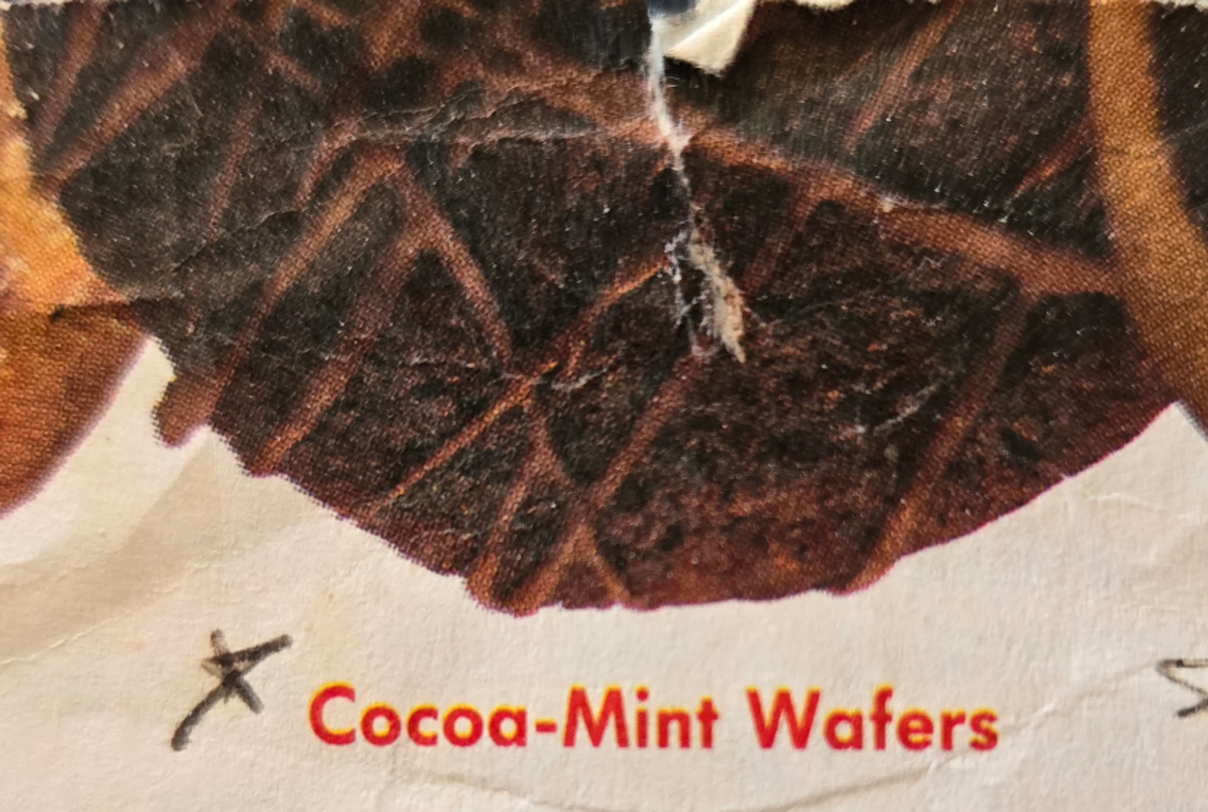 Cocoa-Mint Wafer Cookies
