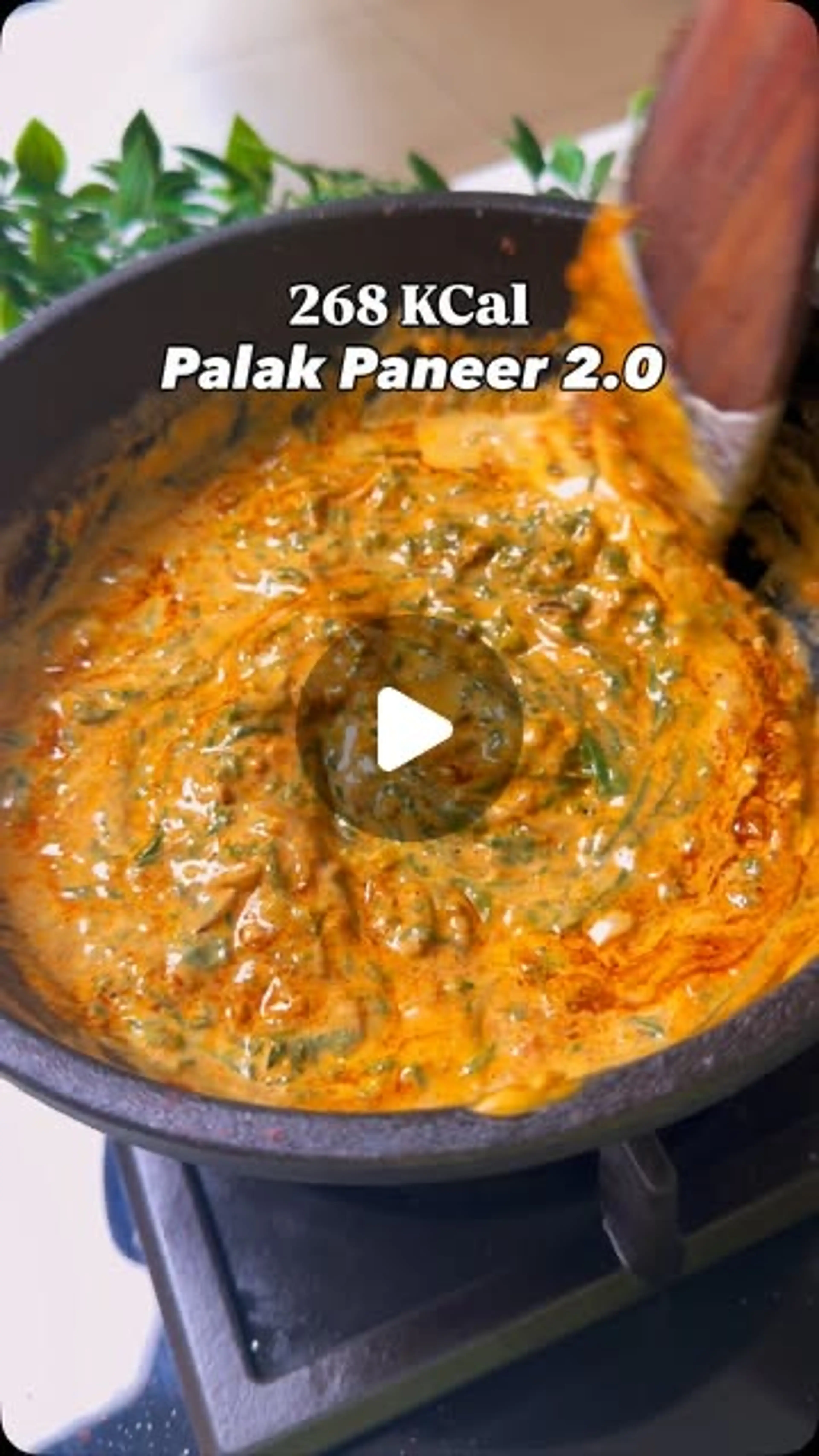 Paneer Spinach