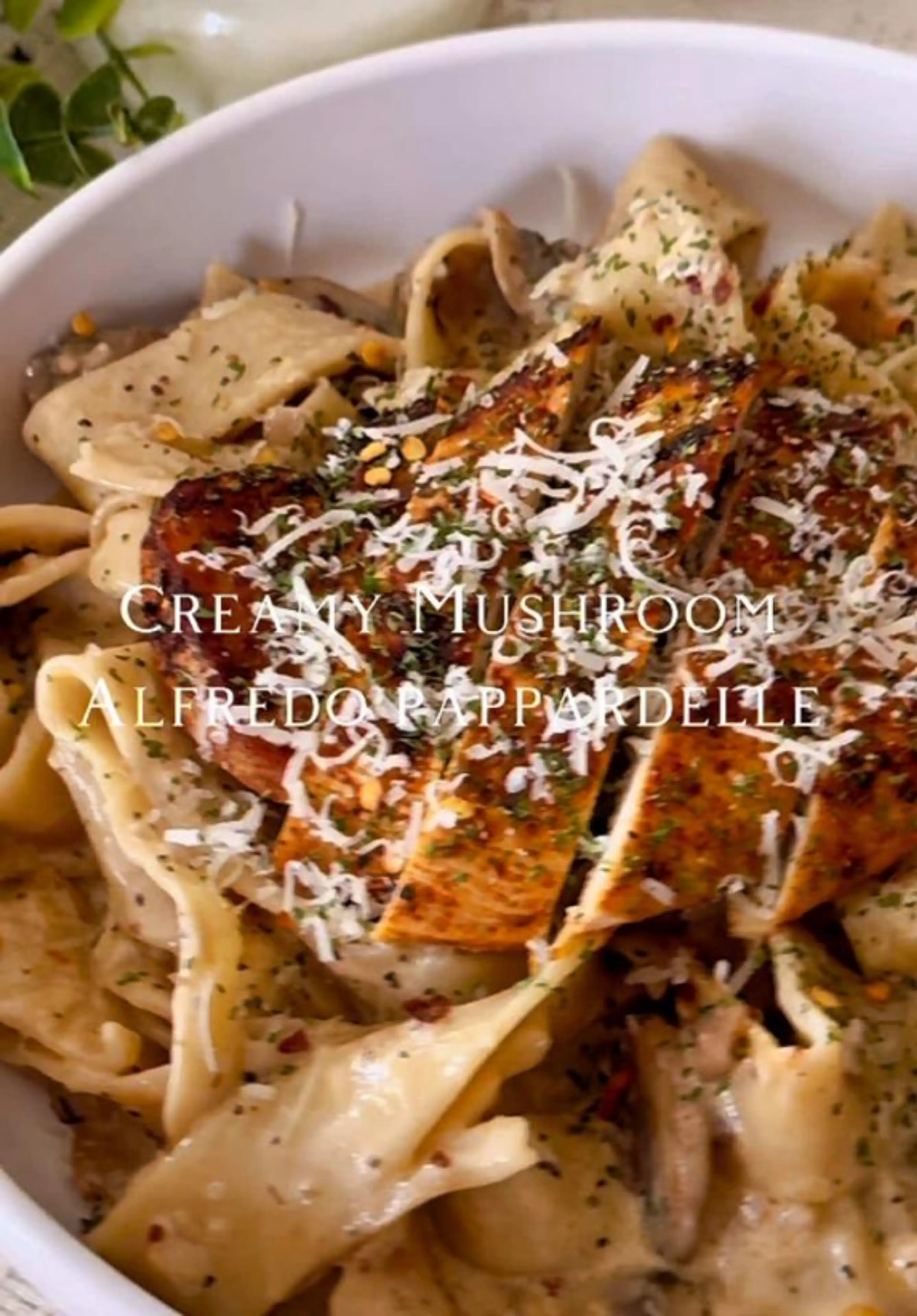 Chicken, Mushroom, Alfredo Papppadelle