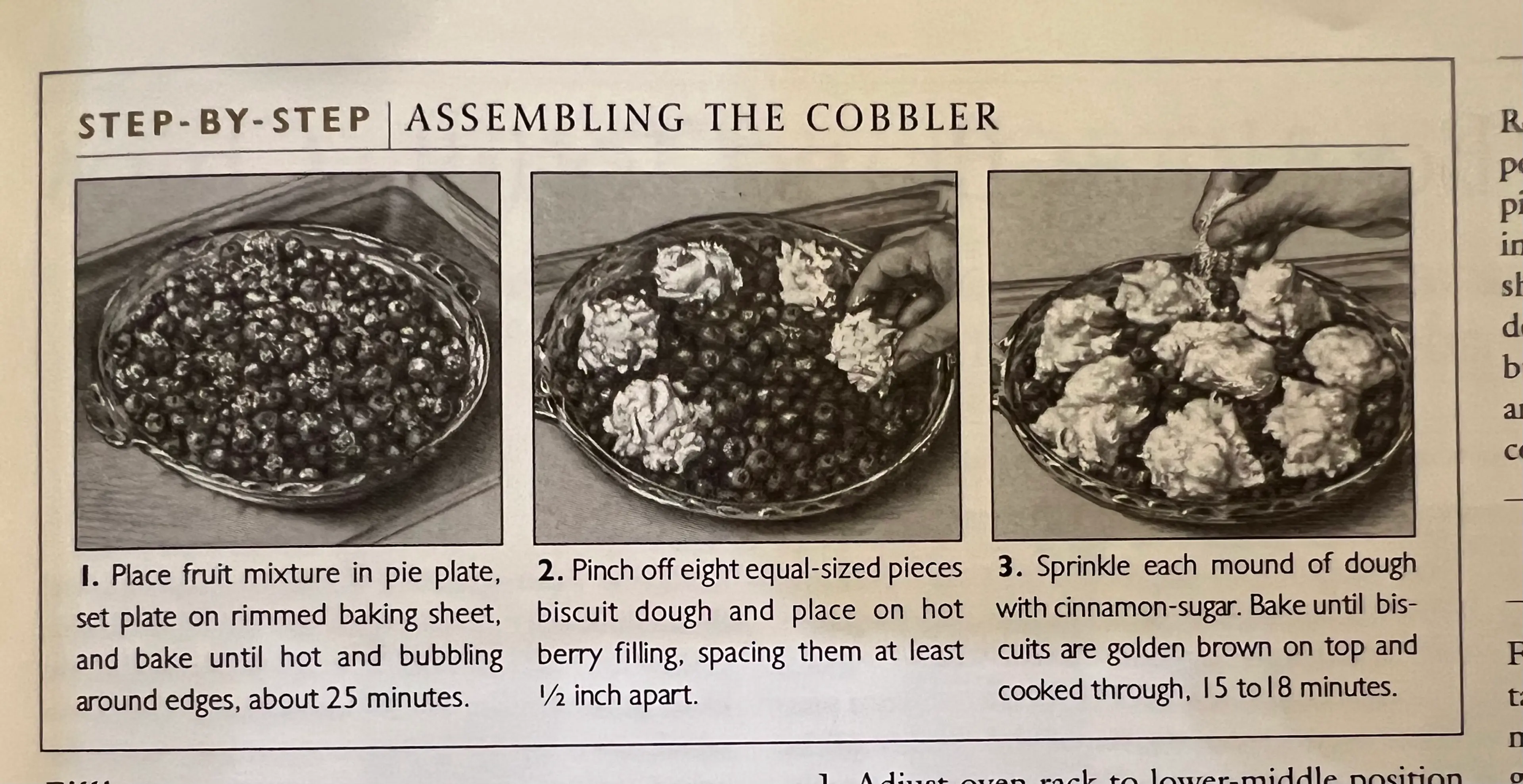 Blueberry Cobbler (ATK)