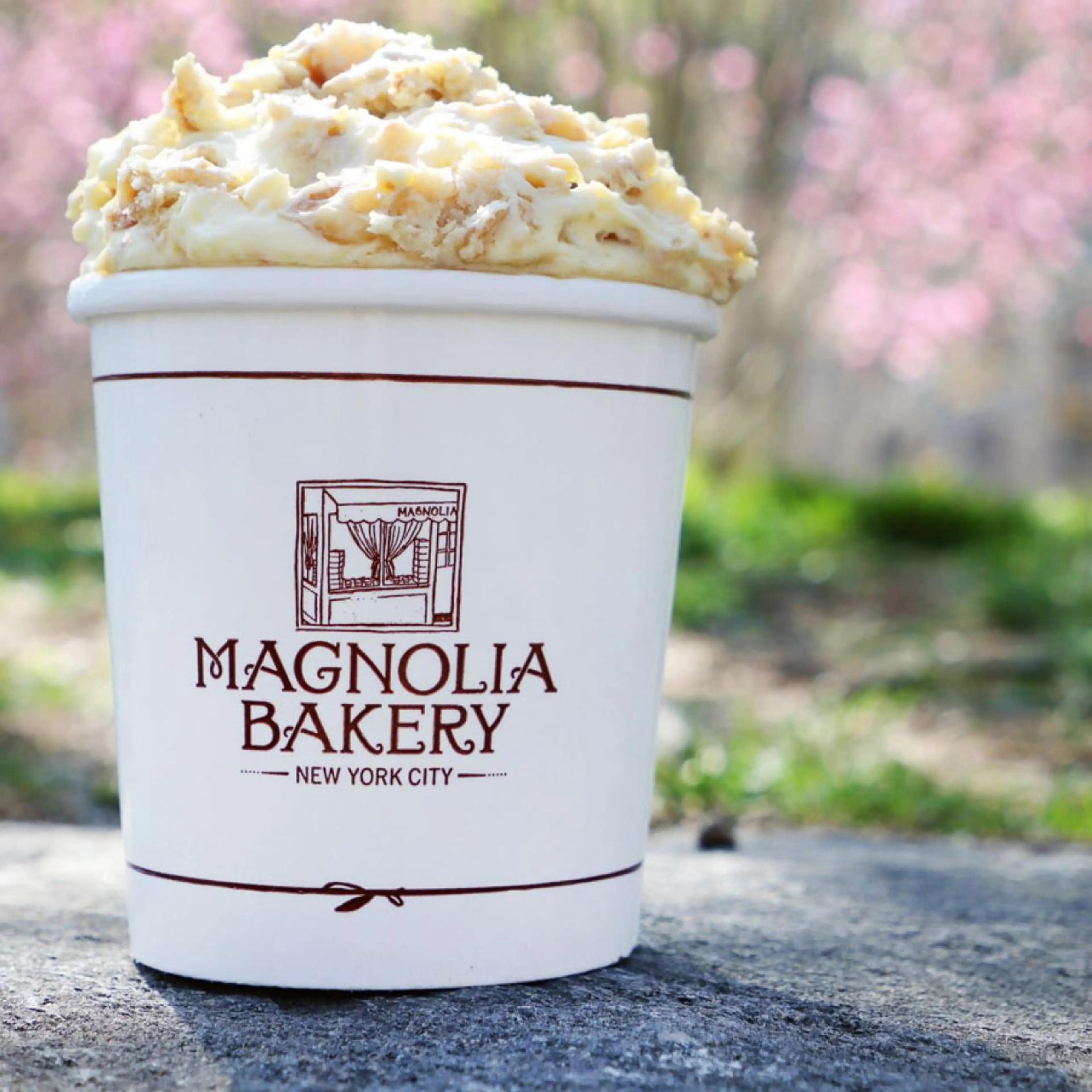 Magnolia’s Famous Banana Pudding