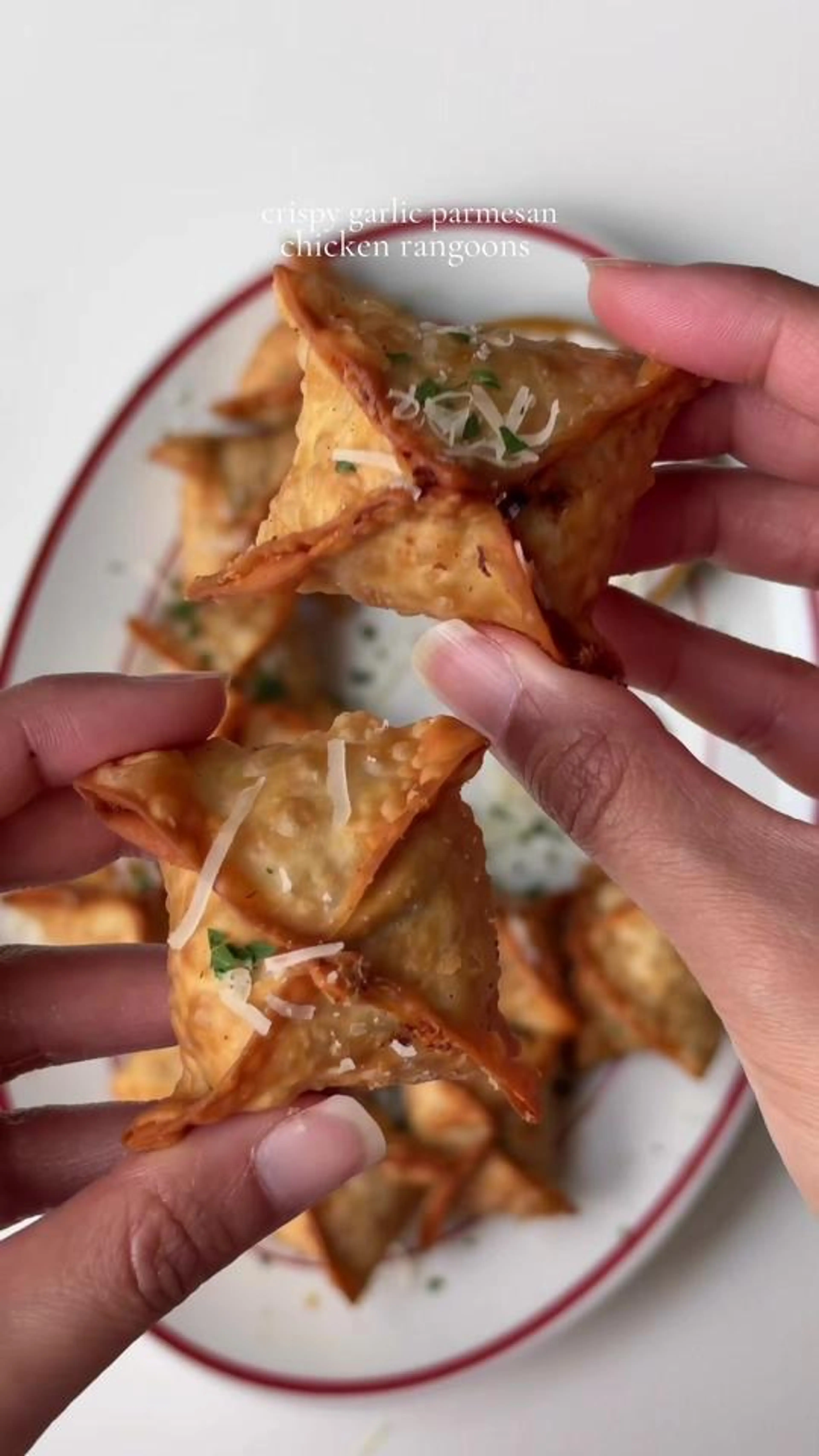 Garlic Parmesan Chicken Rangoon
