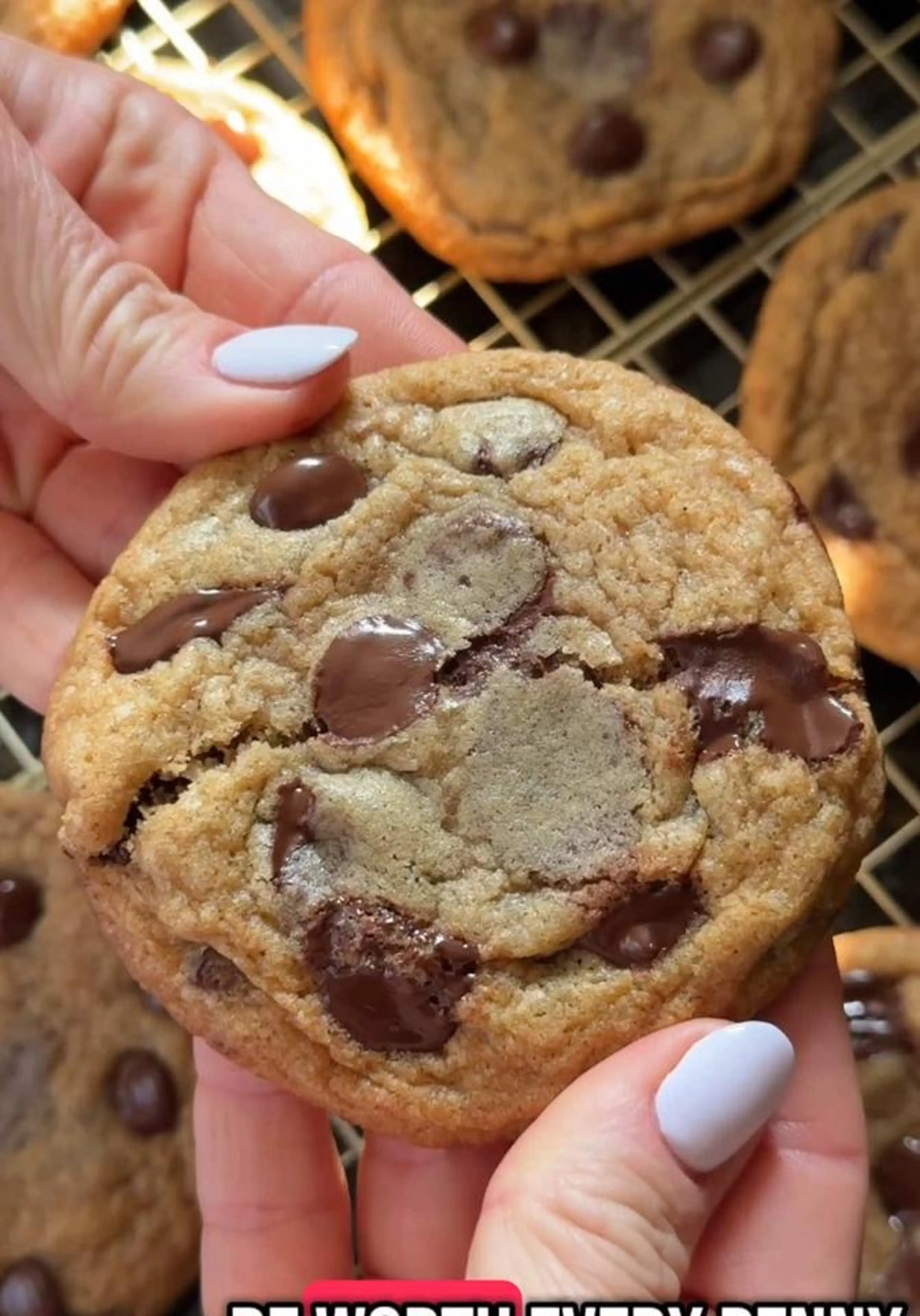 14 Chocolate Chip Cookies?? These Ritz Carlton Chocolate Chi