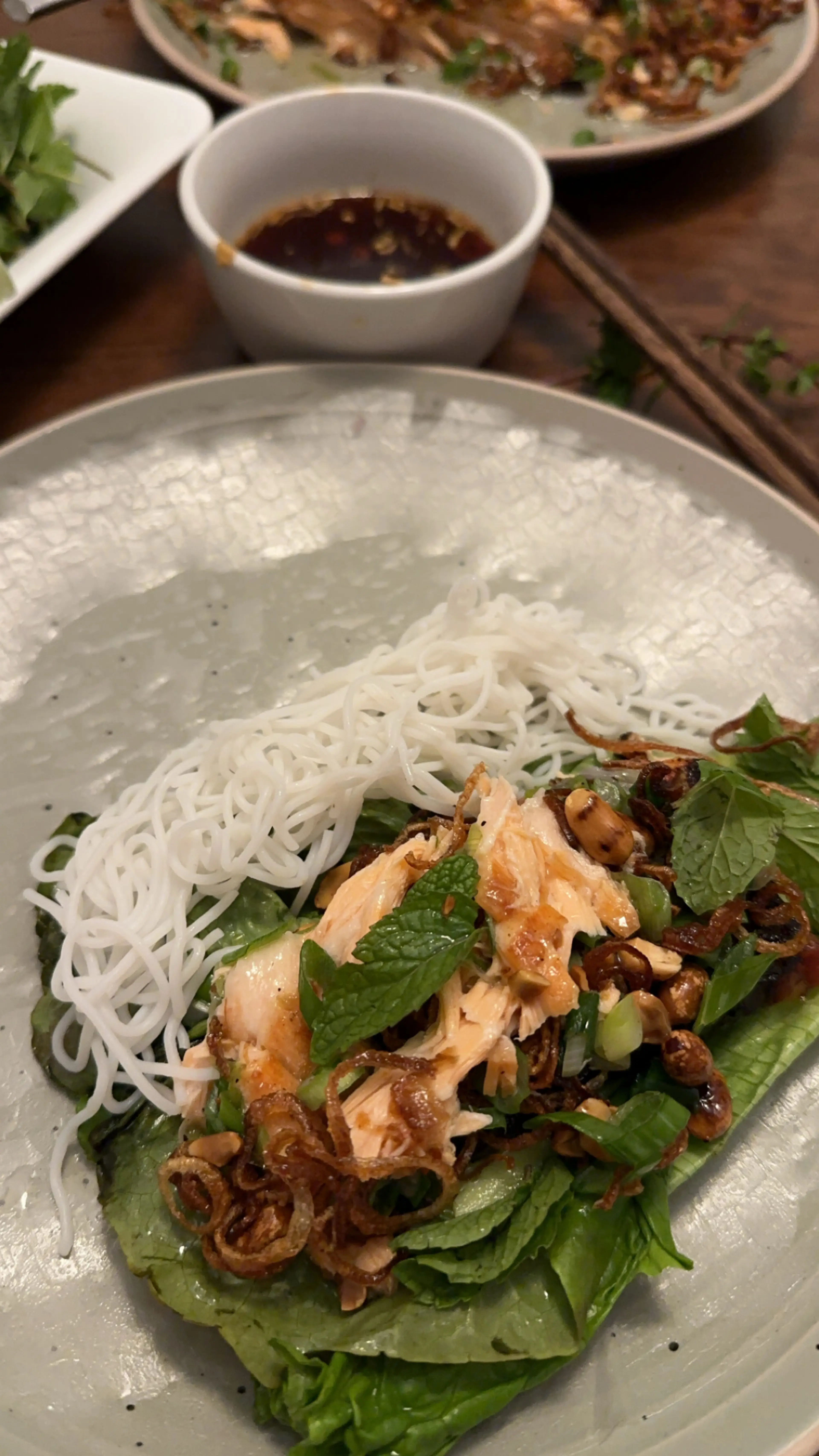 Ginger Garlic Salmon Spring Rolls