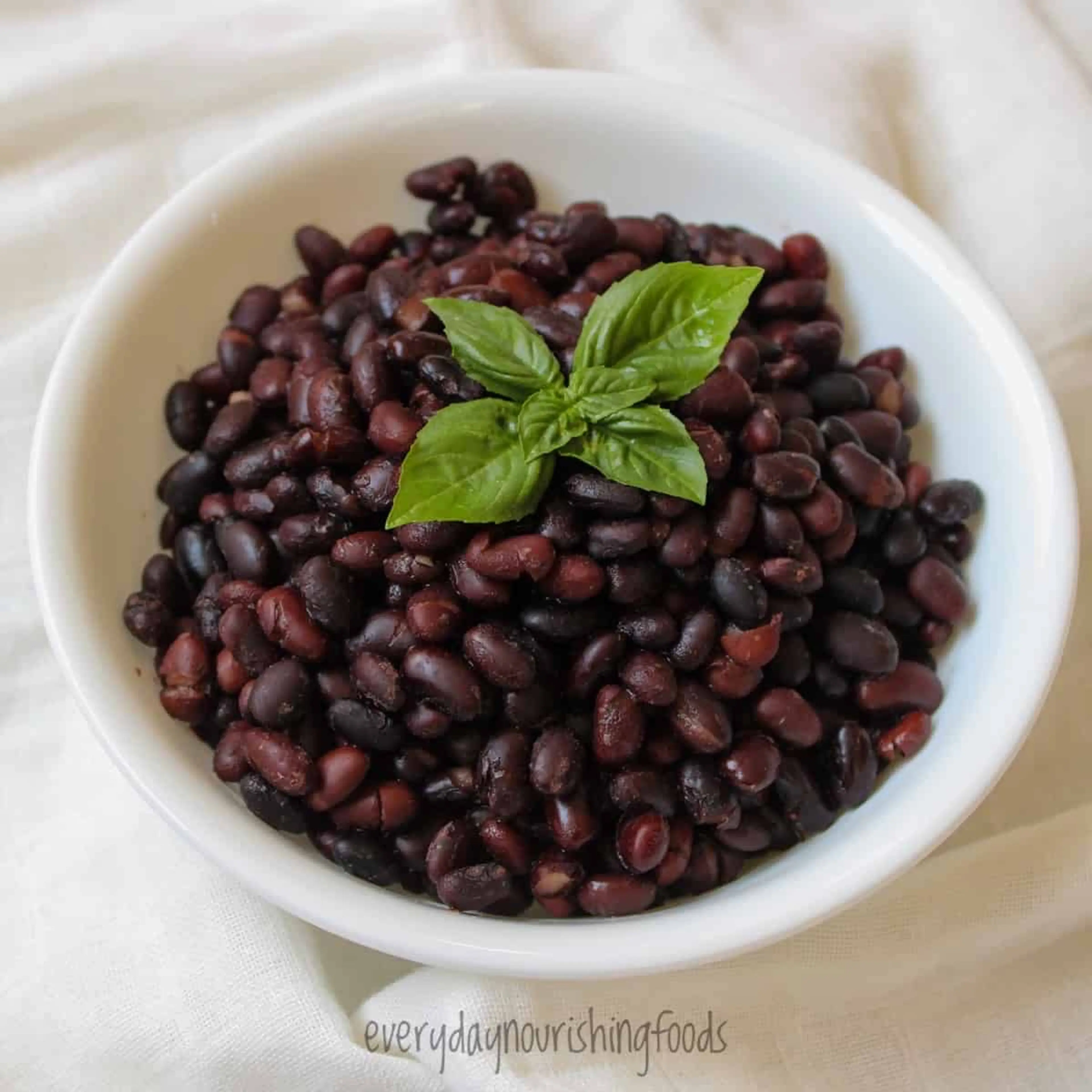Instant Pot Black Beans (Soaked and dried)