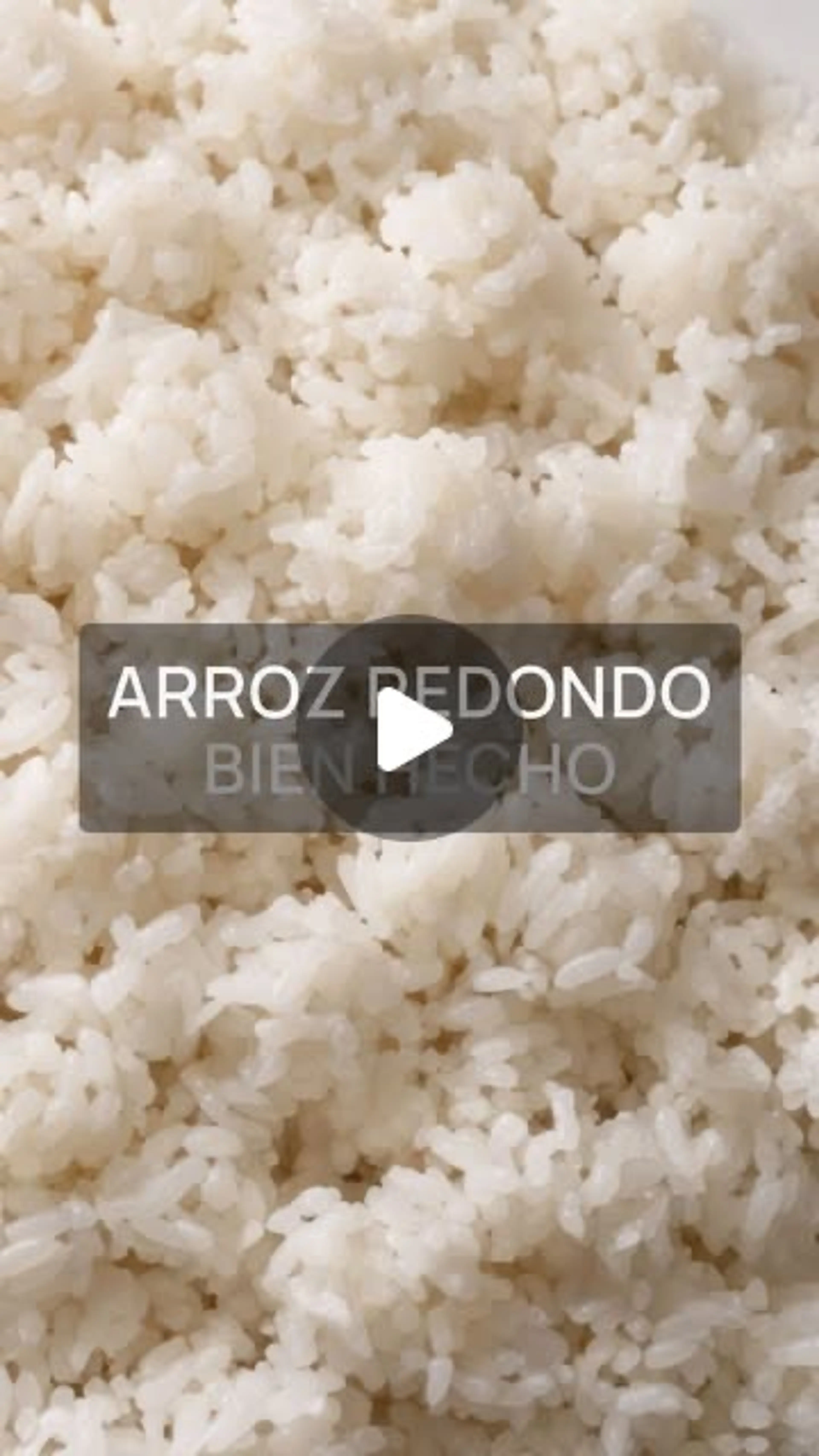 Arroz Redondo Perfecto.