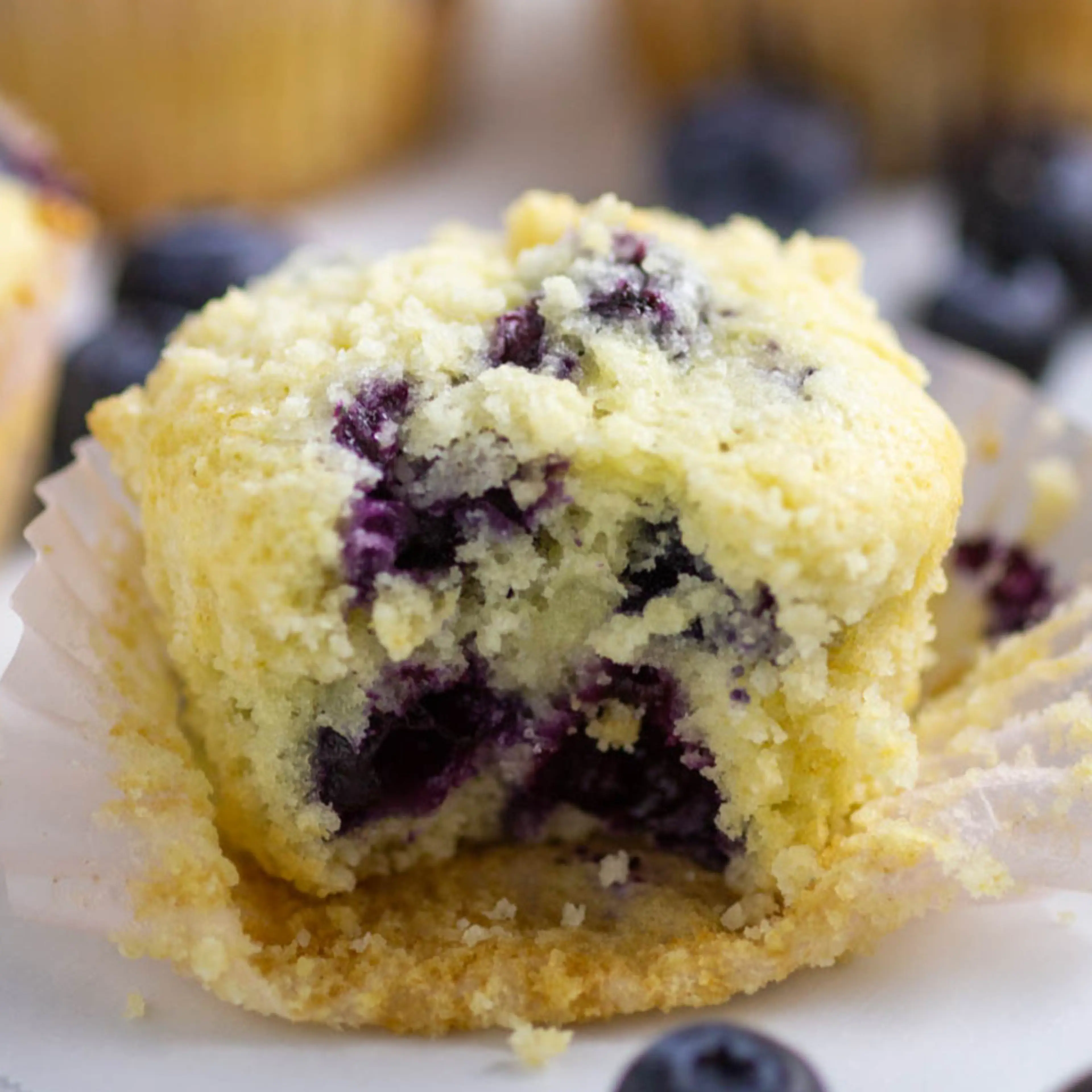 Blueberry Muffins