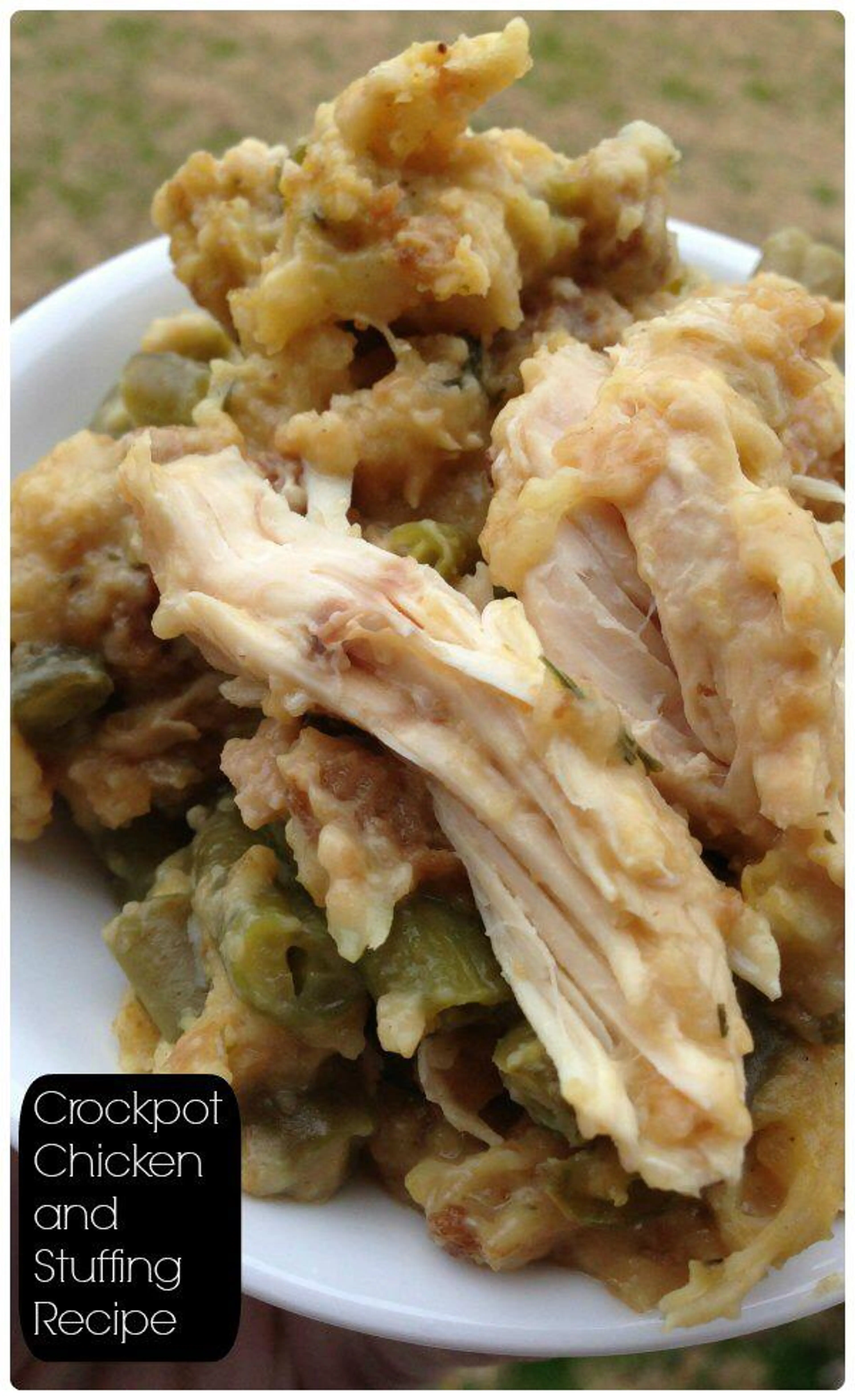 Slow Cooker Chicken and Stuffing