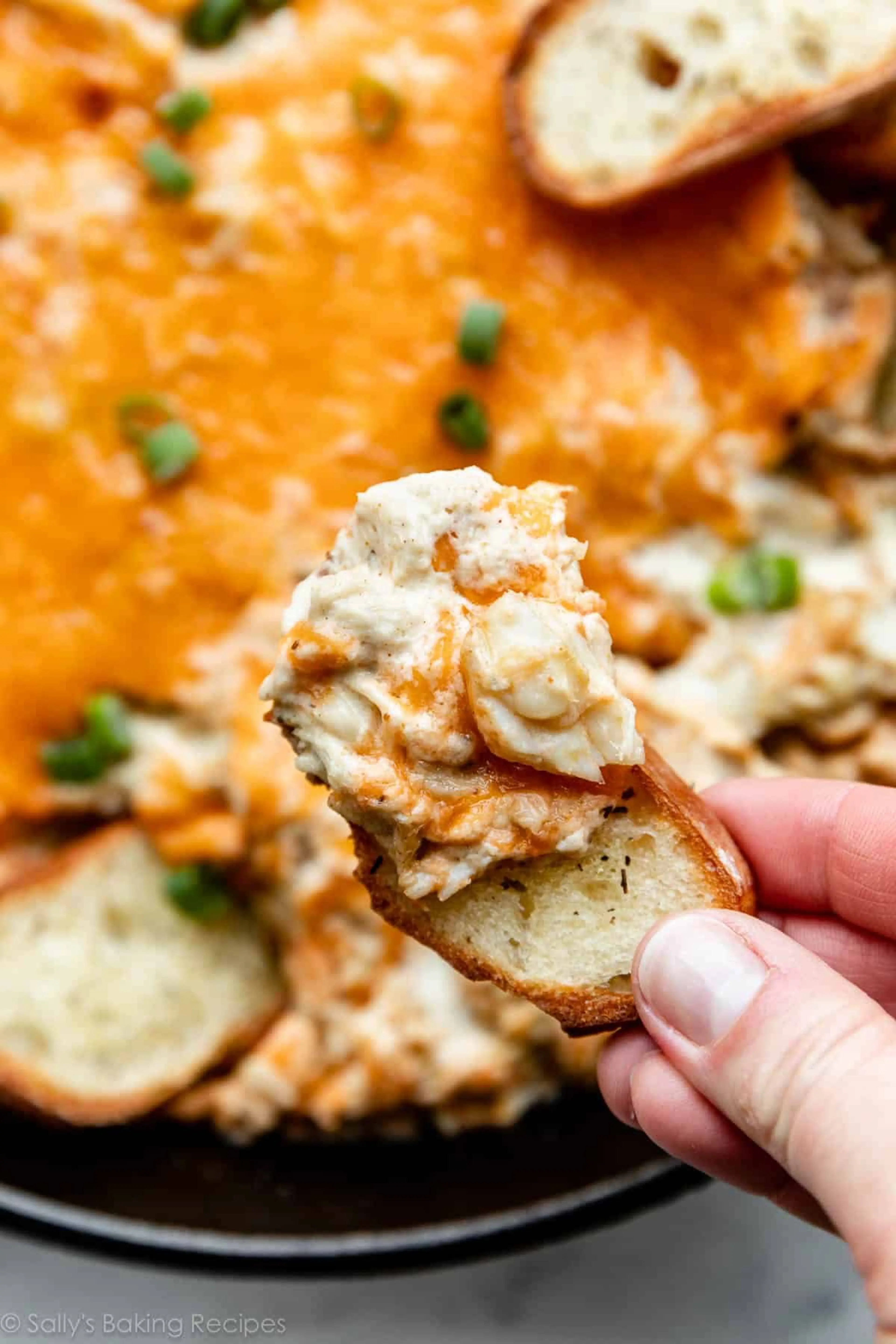 Hot Crab Dip