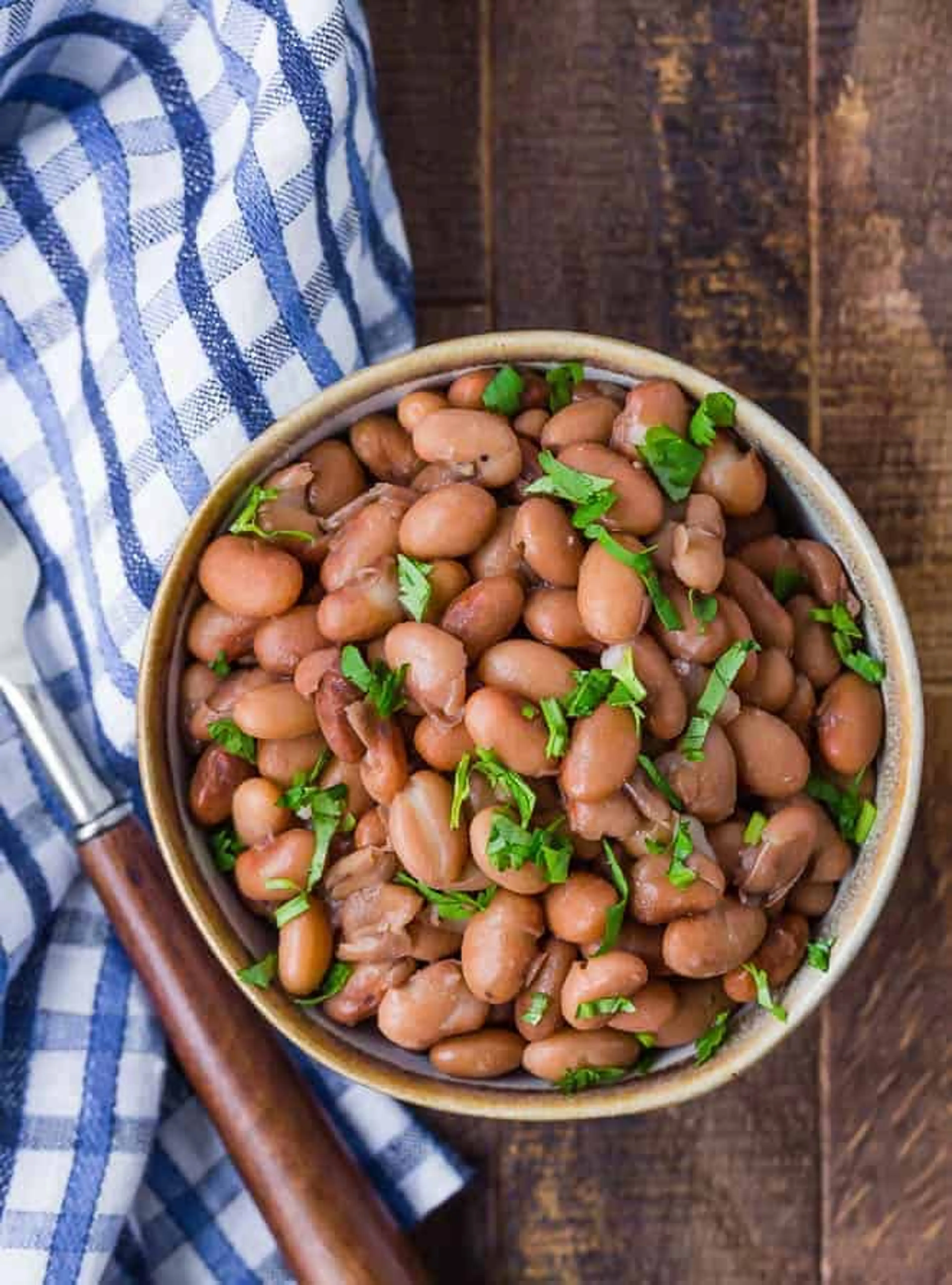 Instant Pot Pinto Beans Recipe