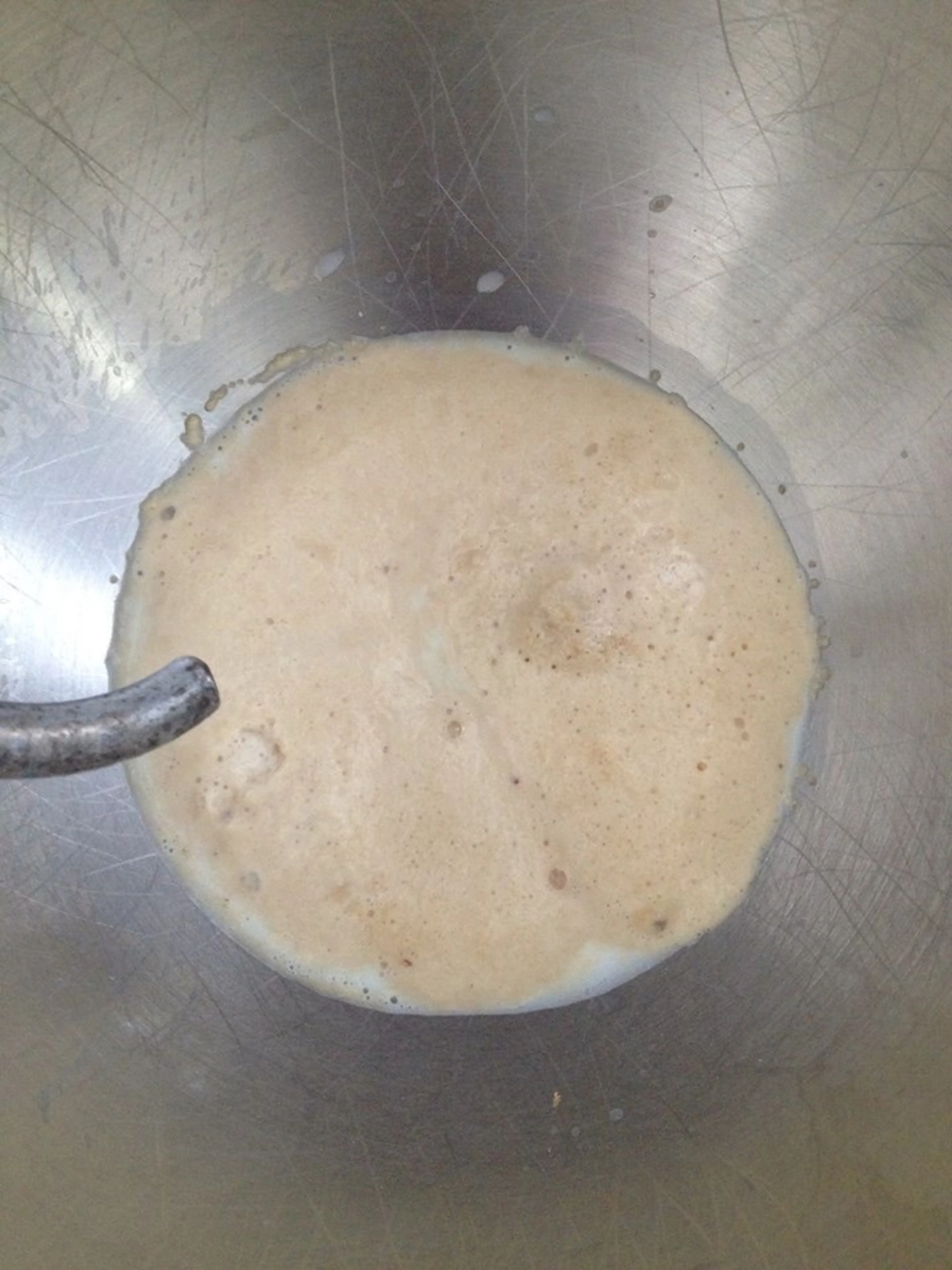 Pizza Dough