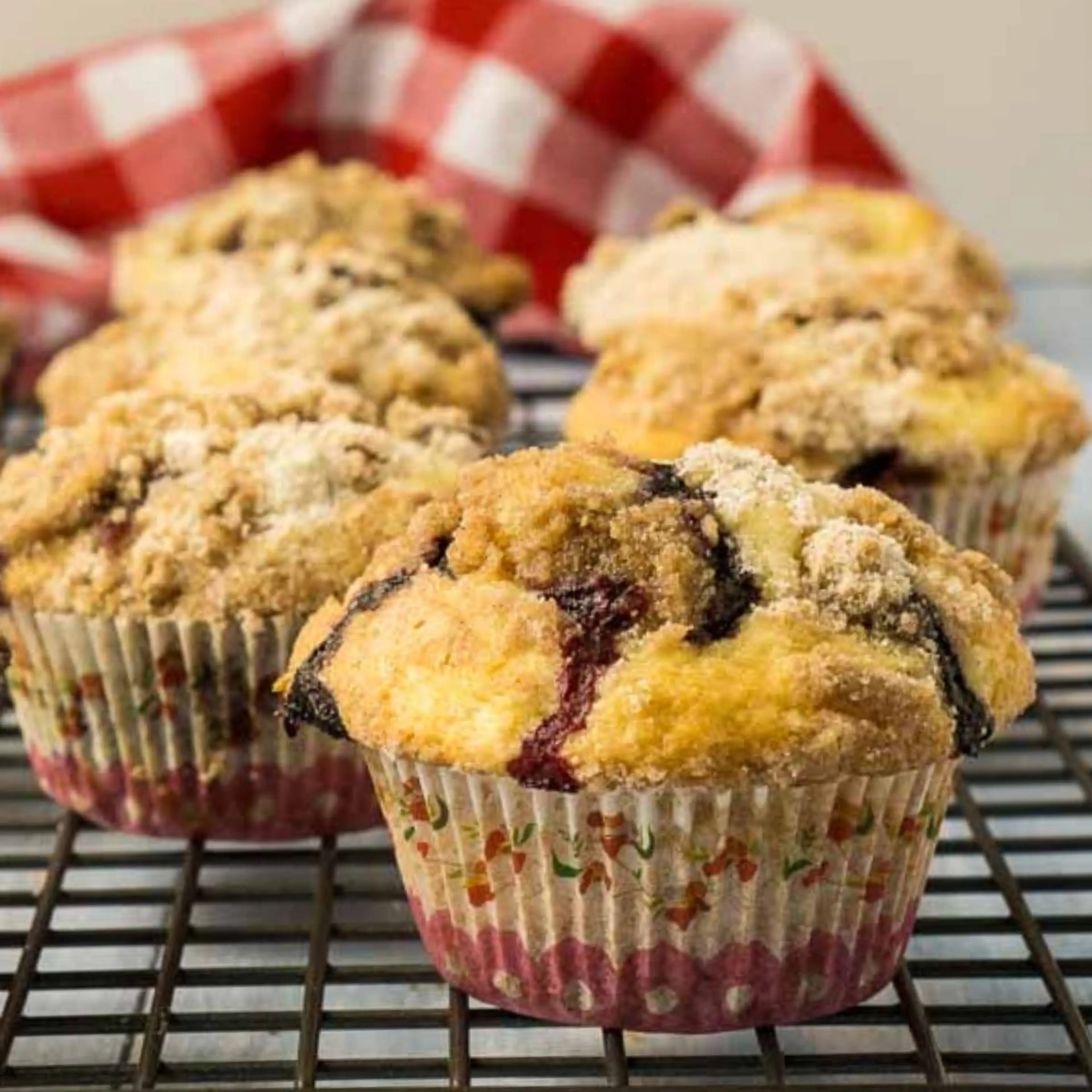 Sourdough Blueberry Muffins