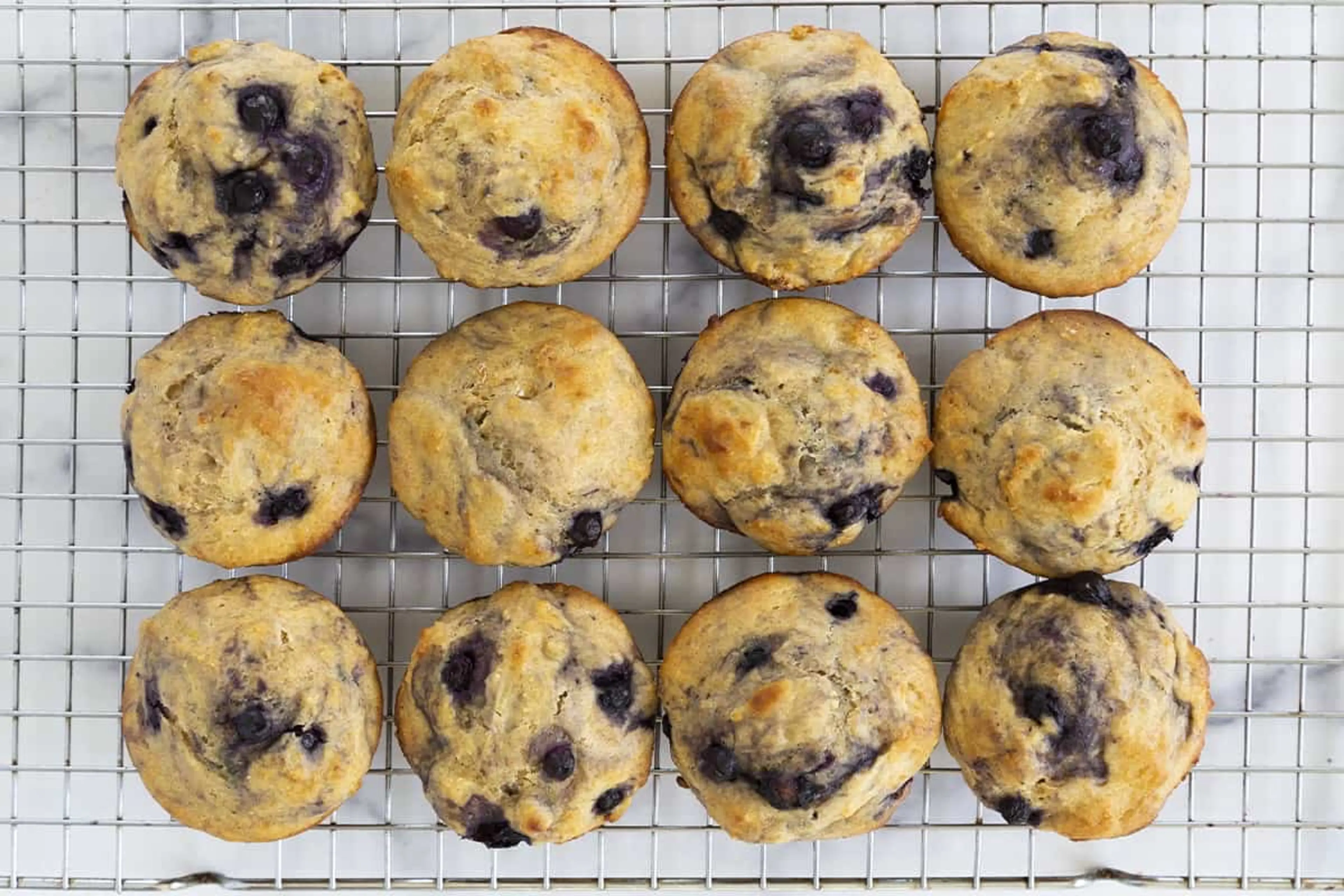 Favorite Blueberry Yogurt Muffins