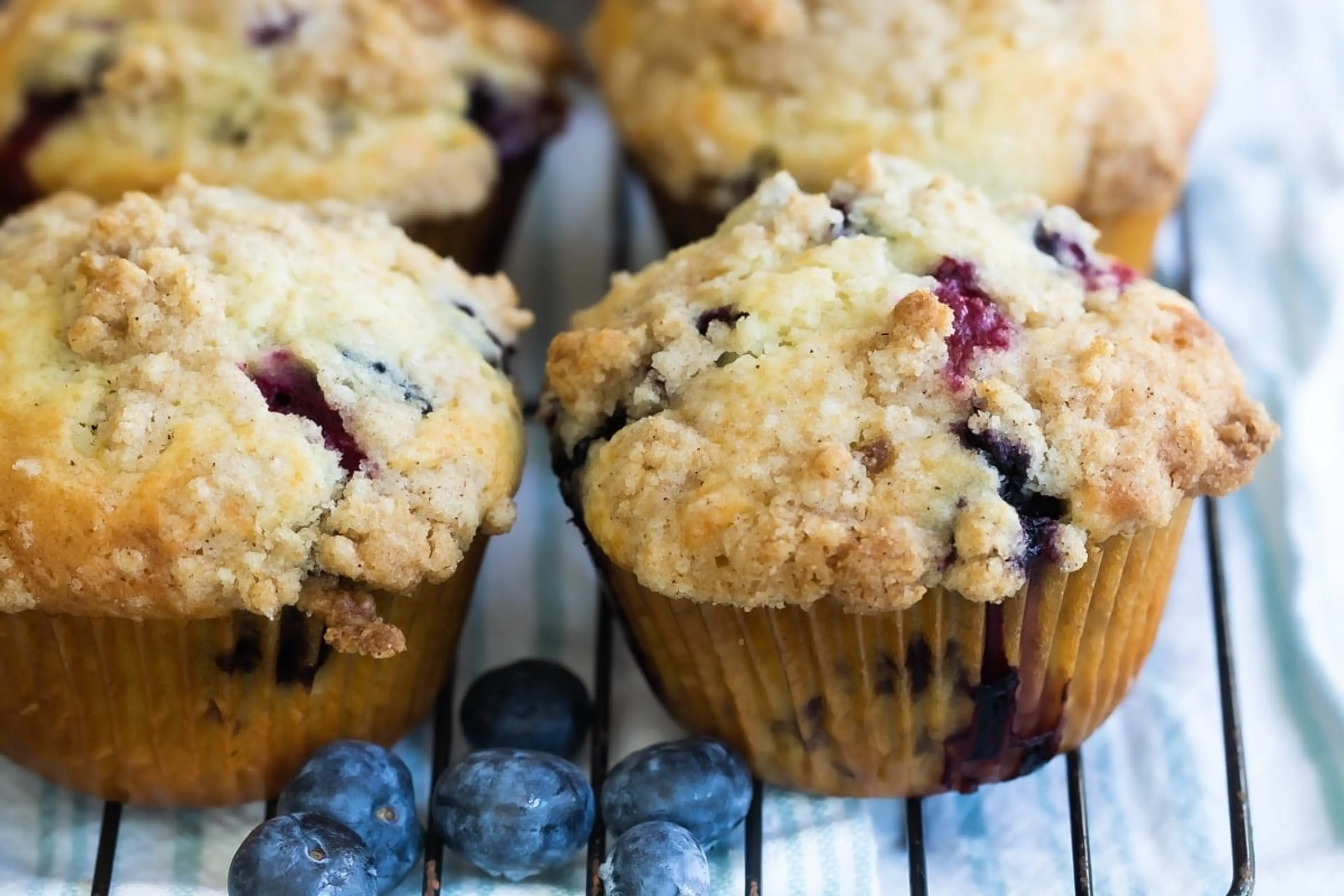 Blueberry Muffins