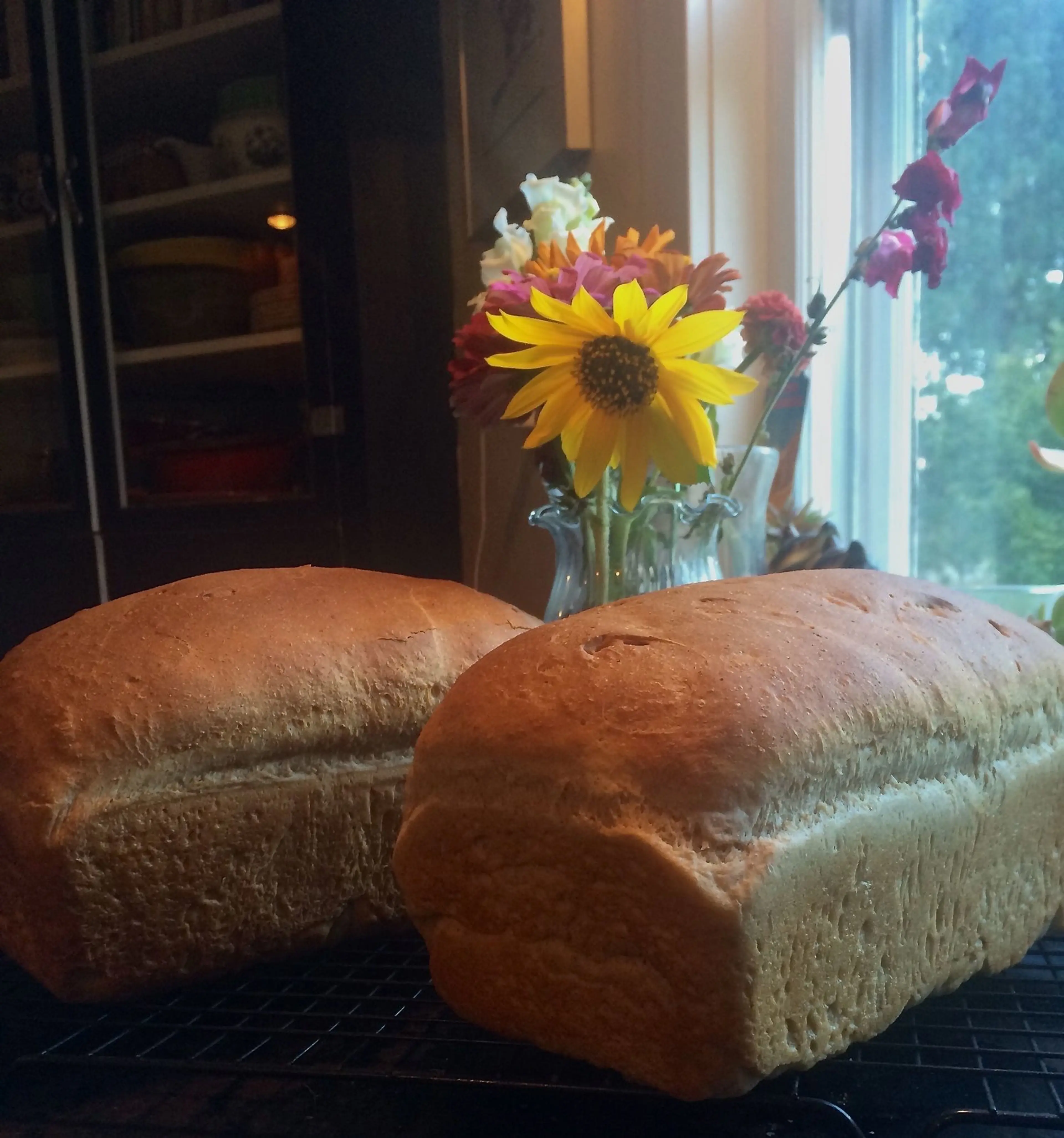 Half Whole Wheat