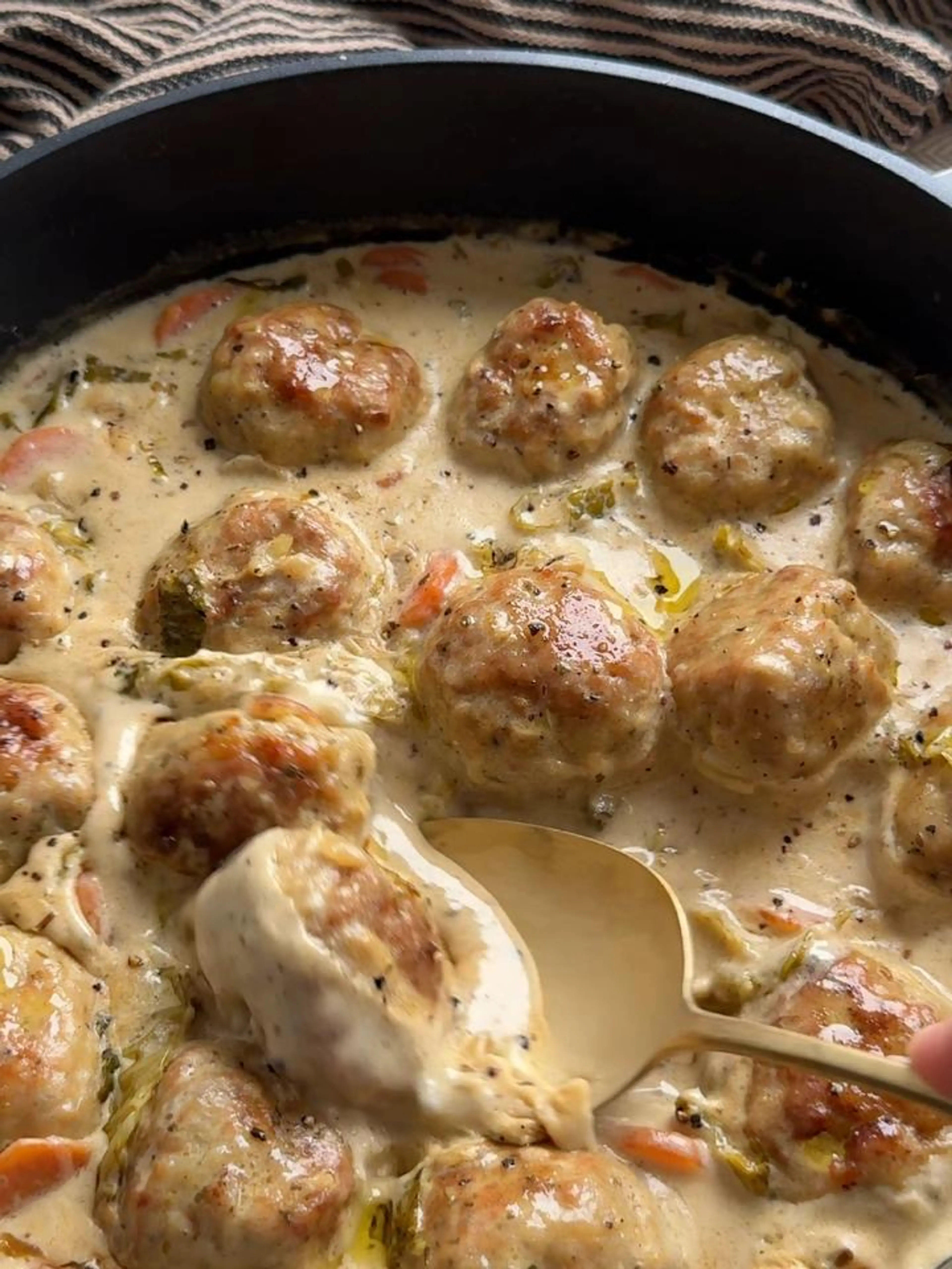 Sage & Onion Chicken Ball Stew