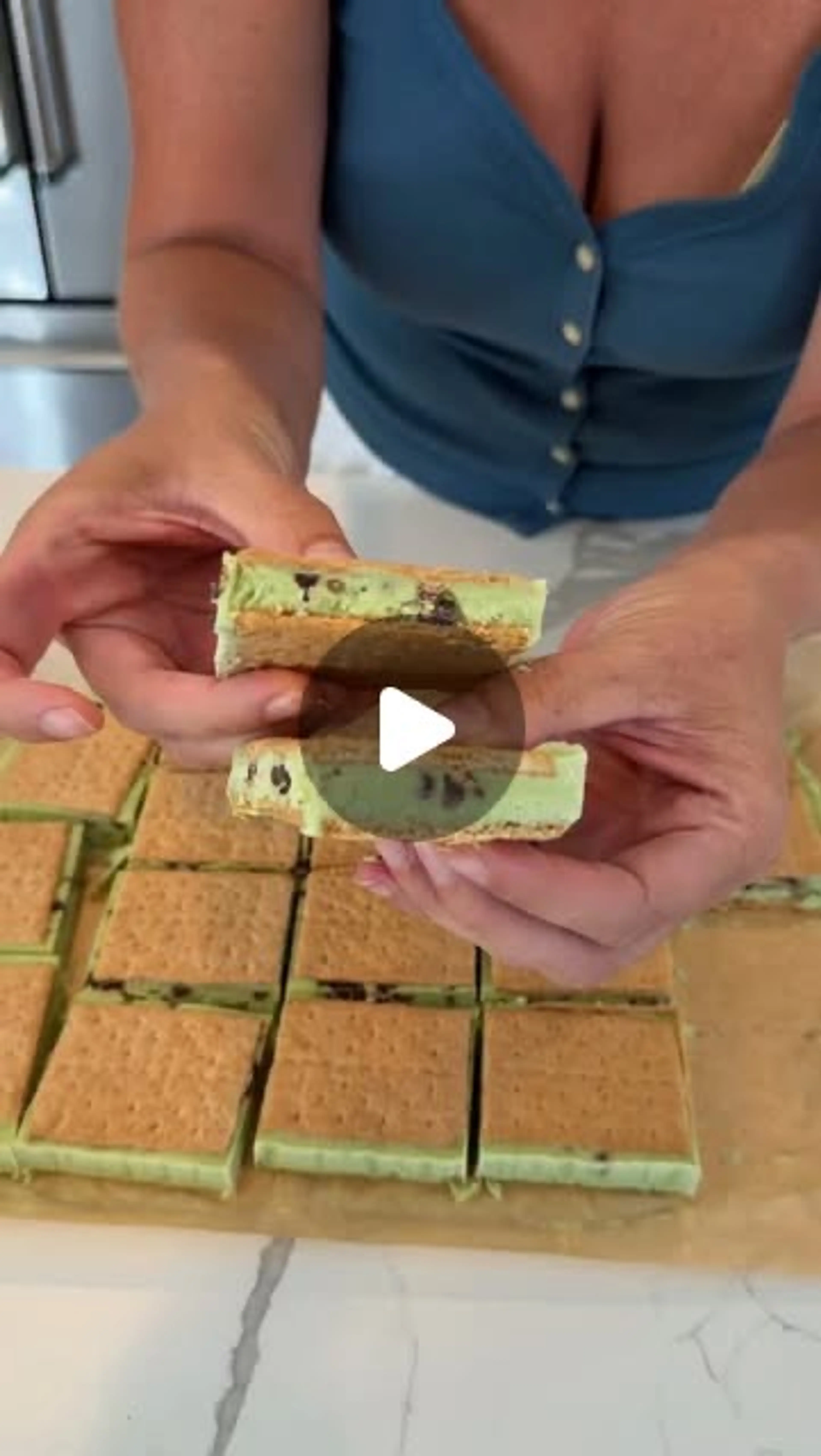 Mint Chocolate Chip Ice Cream Sandwich