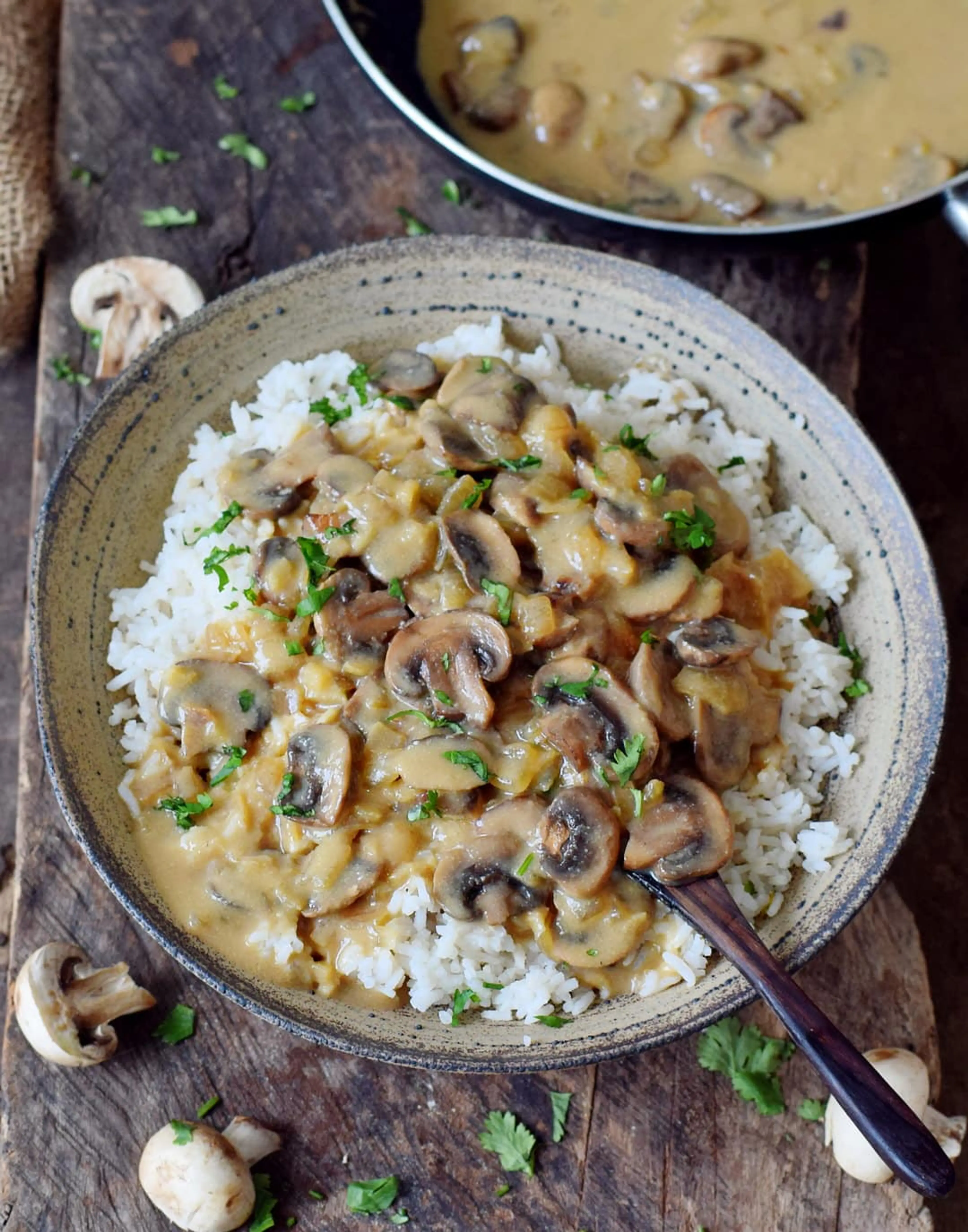 Pilz Stroganoff