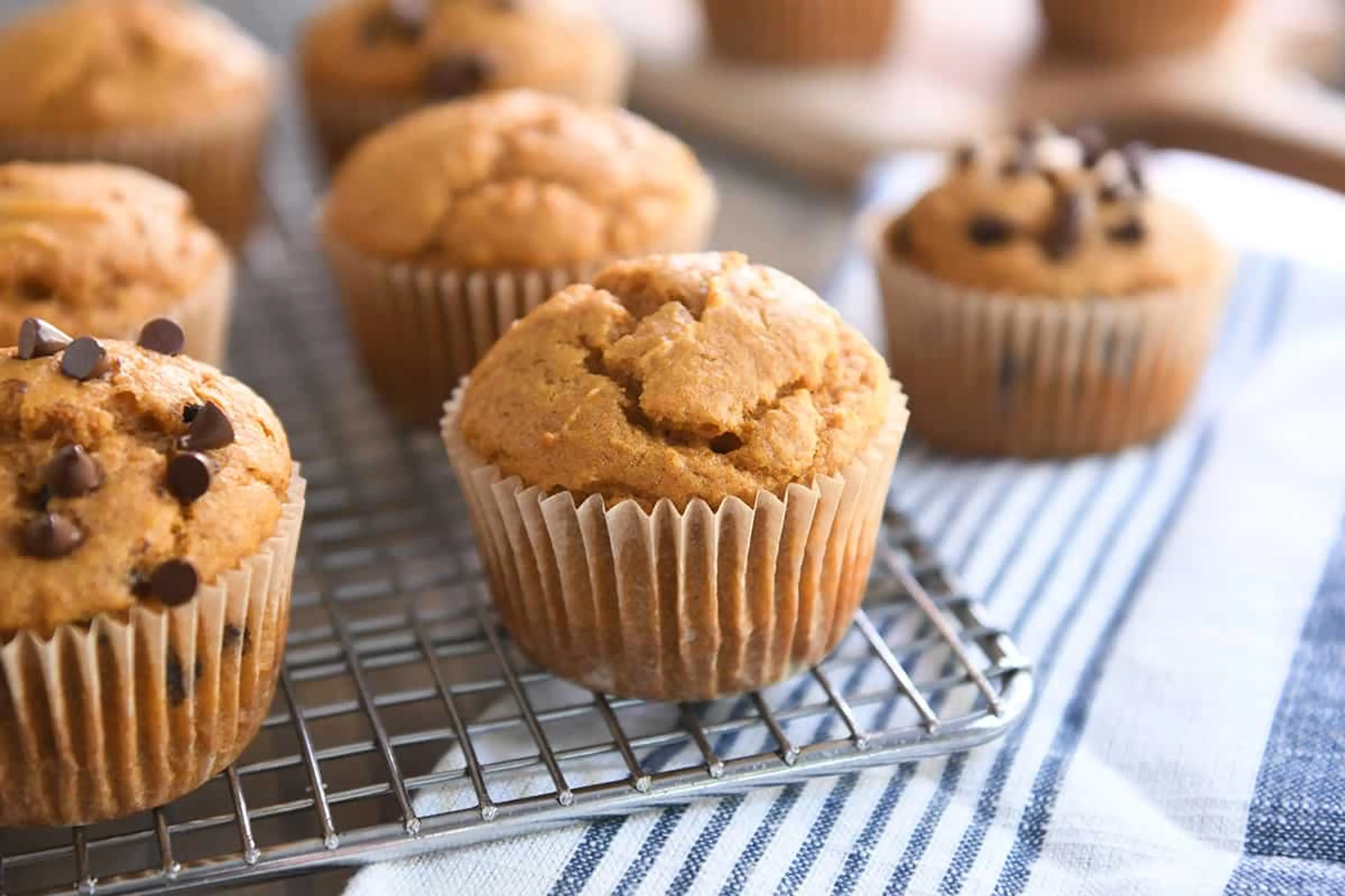 Sourdough Pumpkin Muffins